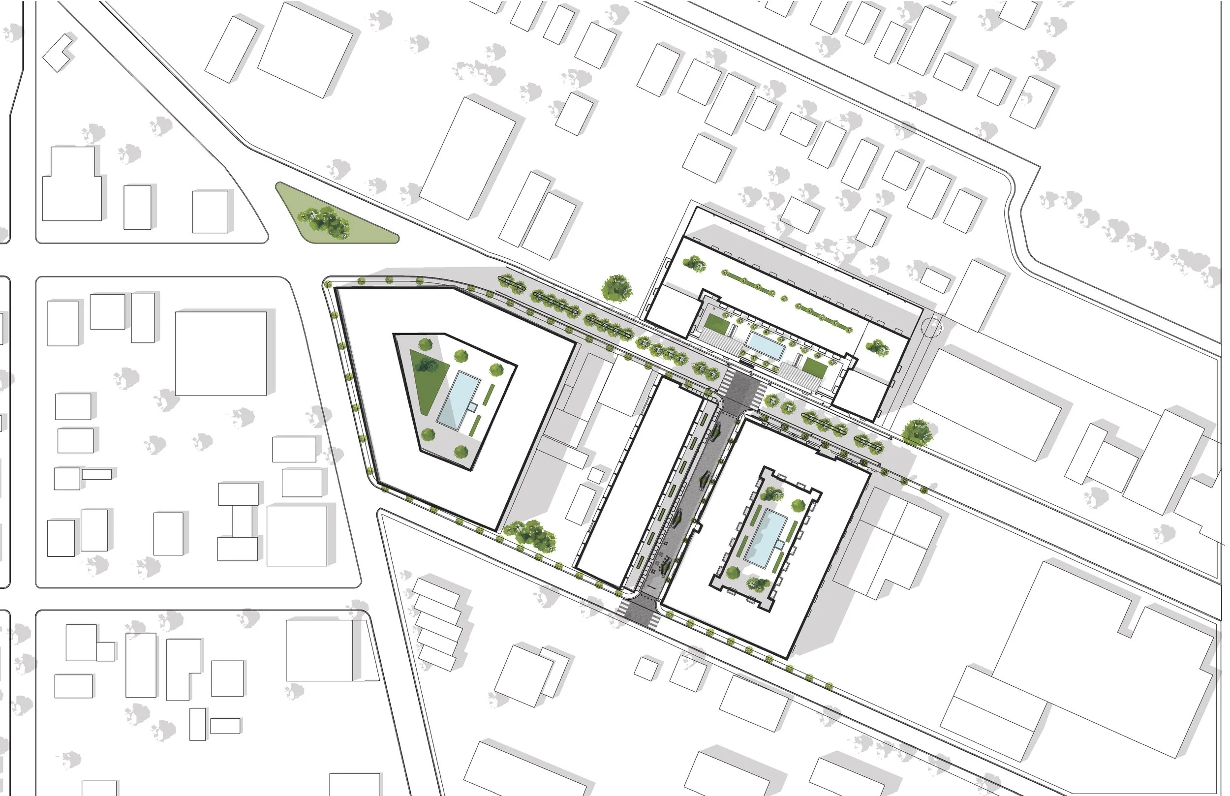 Project Site Plan.jpg