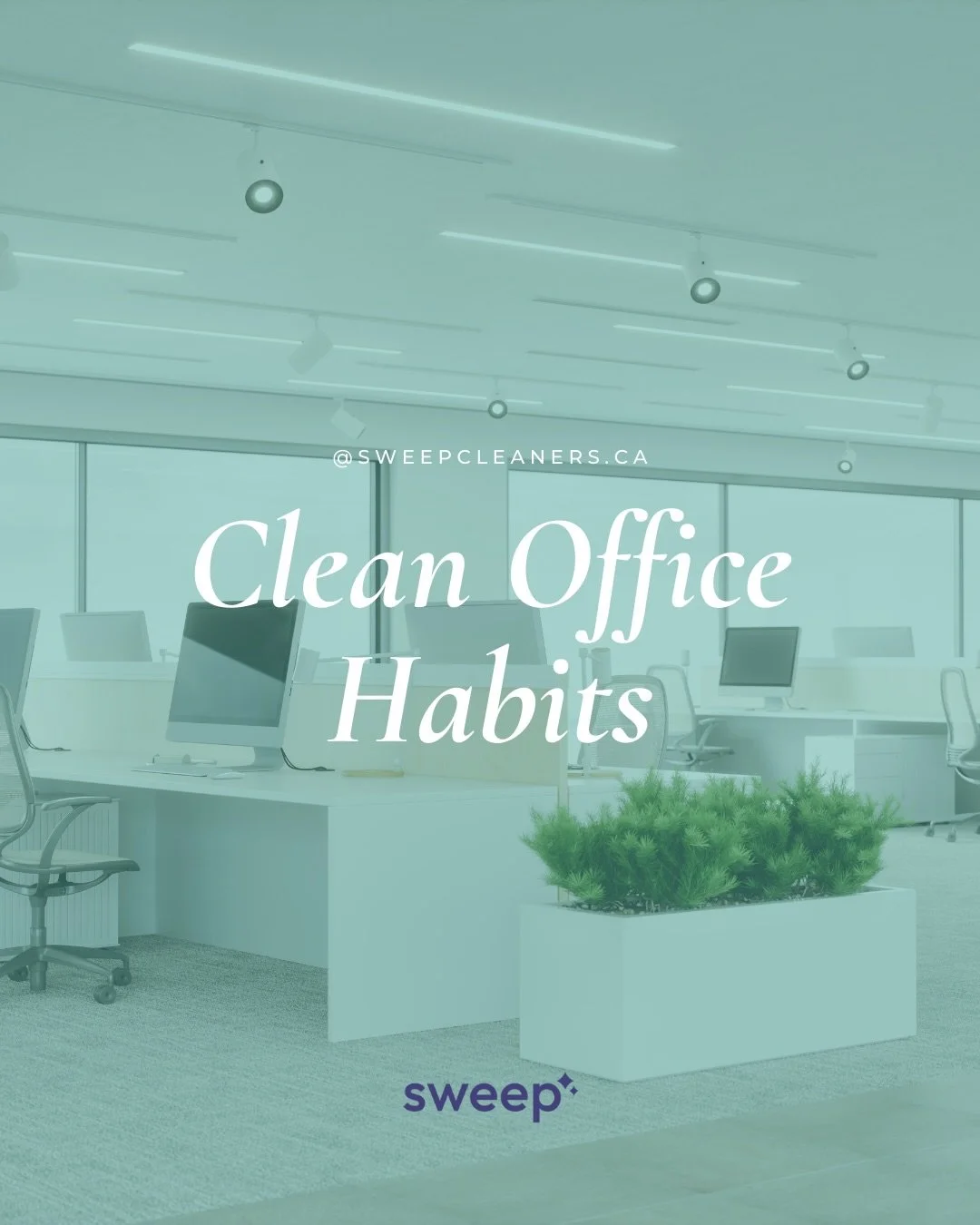 If your office needs a reset&hellip; start with these 4 habits 👇

&bull; Clear desks at the end of the day
&bull; Add air-purifying plants (snake plant lovers unite 🌿)
&bull; Put sanitizer stations where people actually touch
&bull; Do a weekly sha