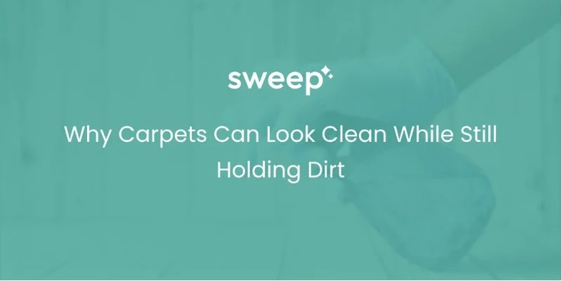 Why Carpets Can Look Clean While Still Holding Dirt