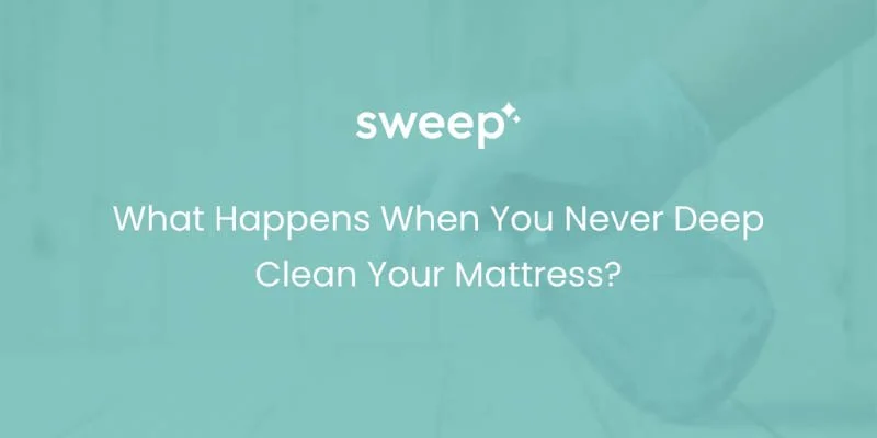 What Happens When You Never Deep Clean Your Mattress?
