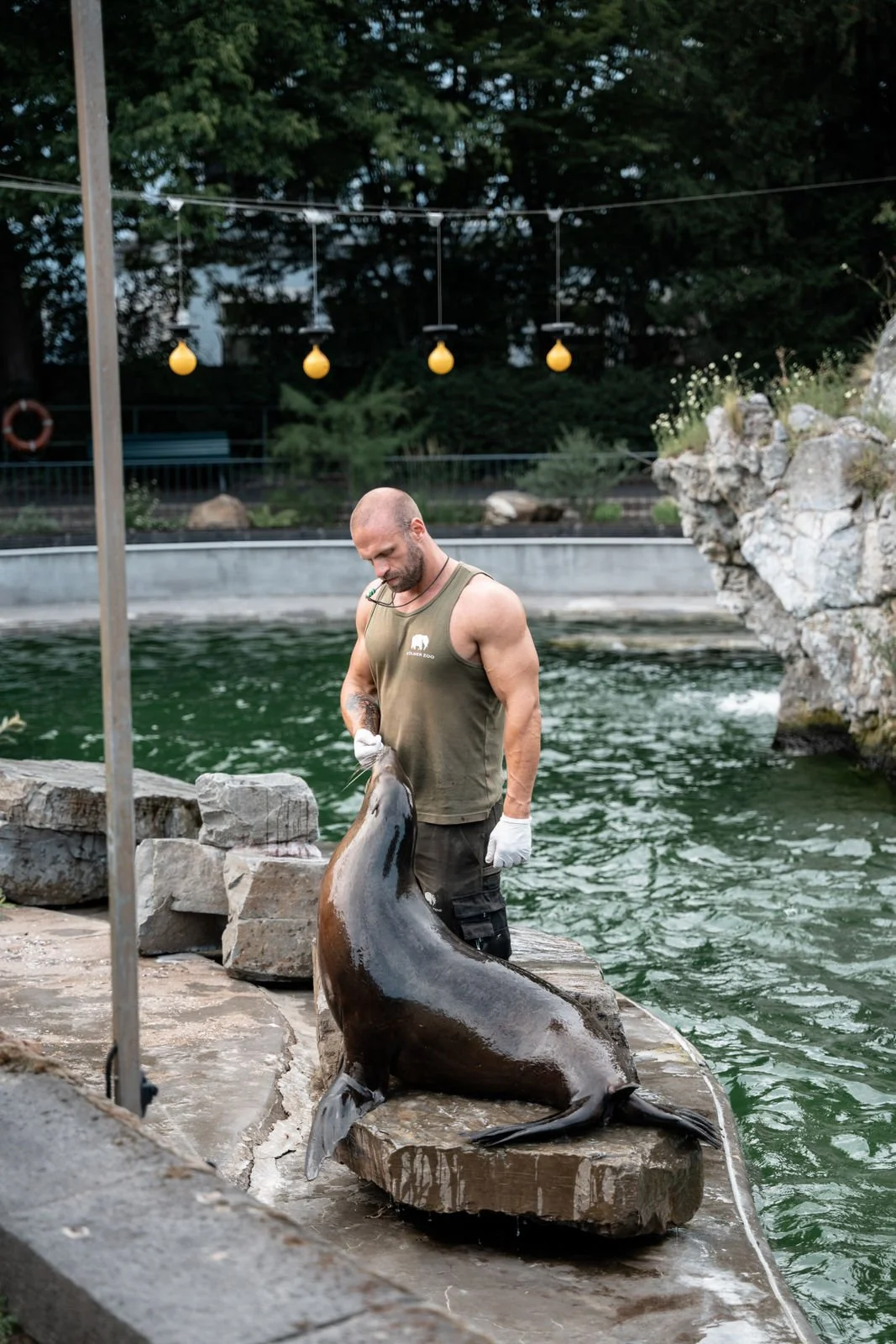 Mann mit lackierter Badewanne vor einem Wasserbecken, Tiere, Tierpflege, Aquaristik, Zoo, Tierpfleger, Aquarium, Tierhaltung