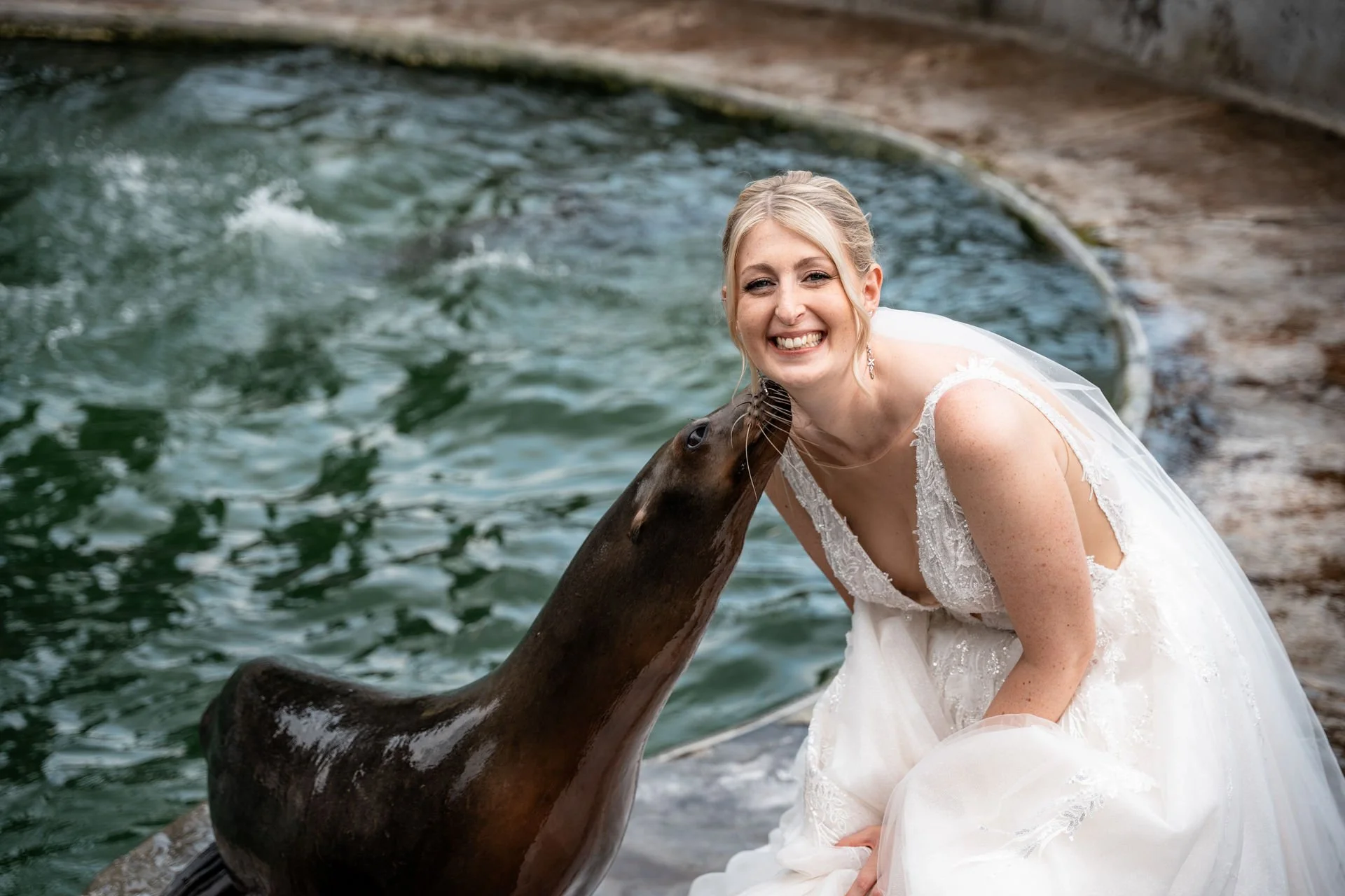 Braut in weißem Hochzeitskleid, die einem Seehund einen Kuss gibt.