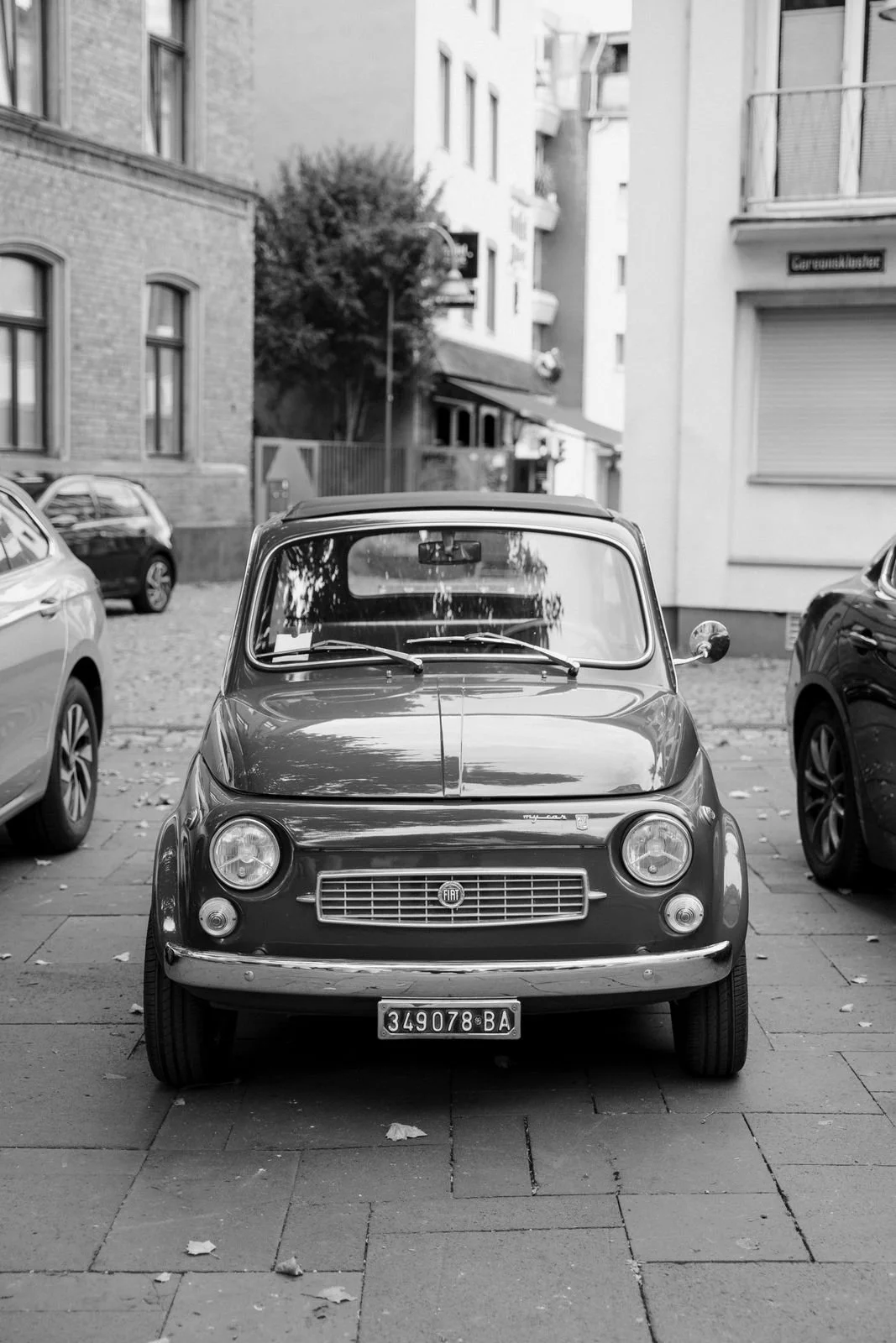 331 - DSCM001-331.jpg