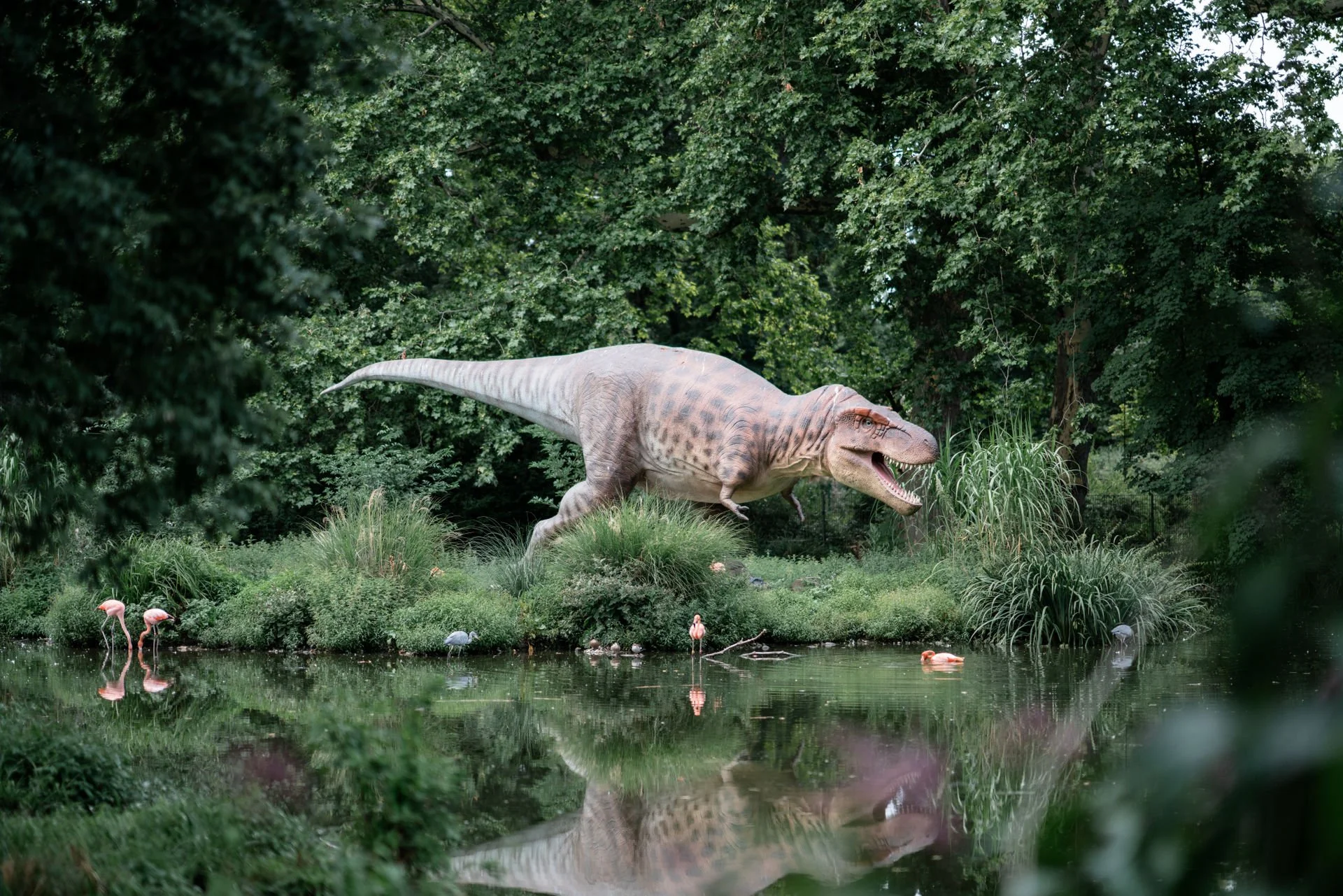 Dinosaurier im Park, umgeben von Pflanzen, Wasser und Flamingos.