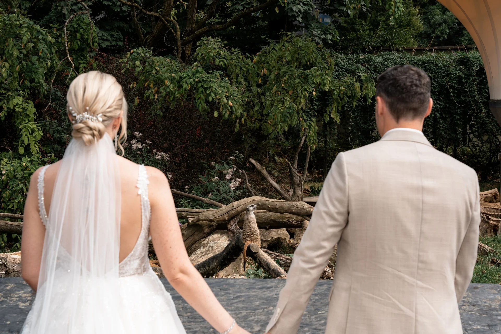 Ein Brautpaar in Hochzeitskleidung hält Händchen vor einem Tiergehege mit einer Vogelart, umgeben von Bäumen und Sträuchern.