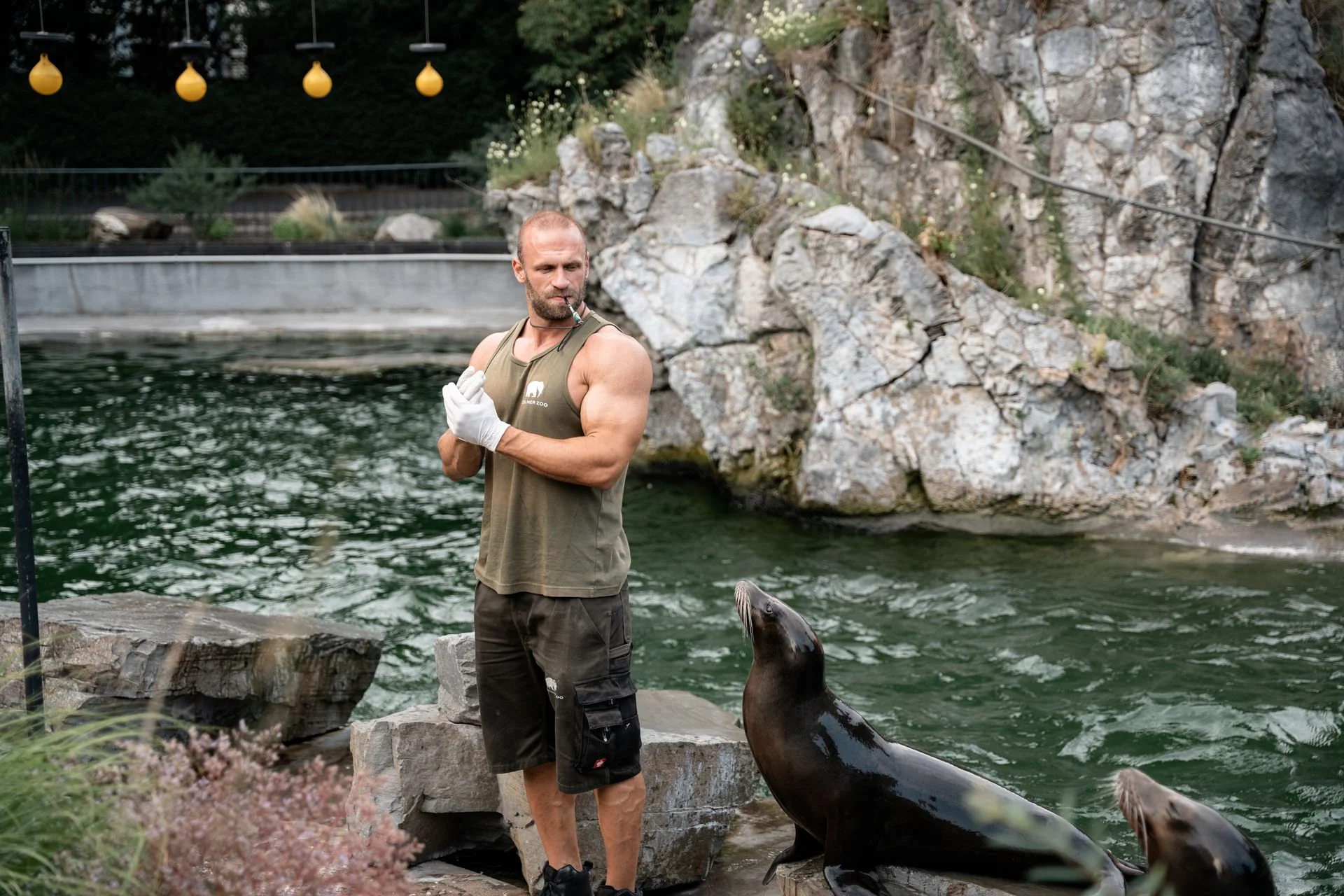 Ein Mann im Zoo zeigt einem Seelöwen, der auf einem Stein liegt, etwas. Der Mann trägt eine ärmellose grüne Weste, schwarze Shorts und Handschuhe. Im Hintergrund Wasser und Felsen, mit einer Lichterkette über dem Wasser.