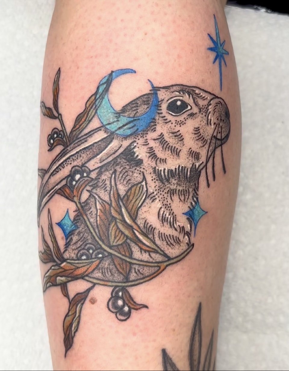 jackalope-moon.jpg