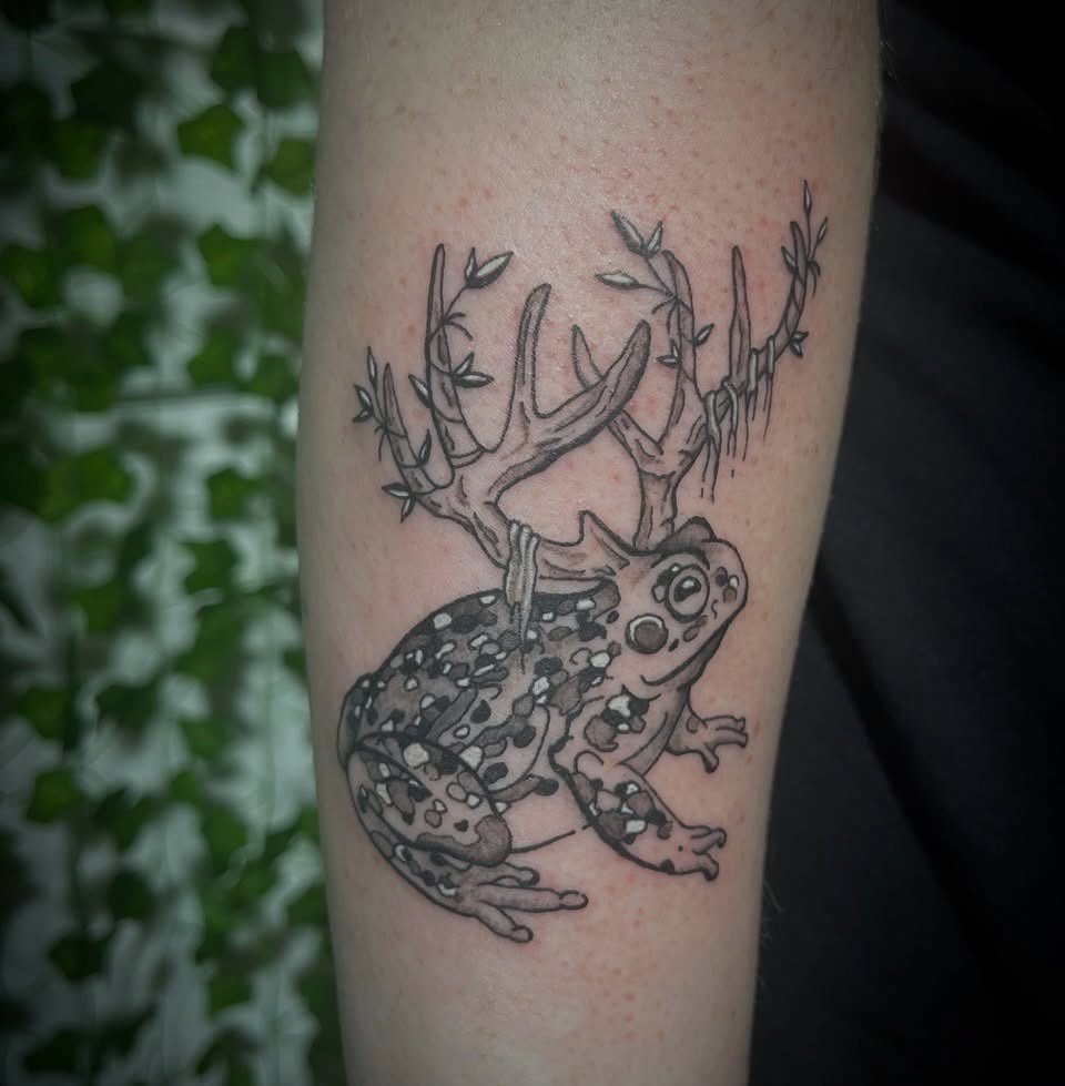 frog-antlers.jpg