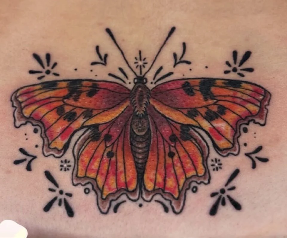 coverup-butterfly.jpg