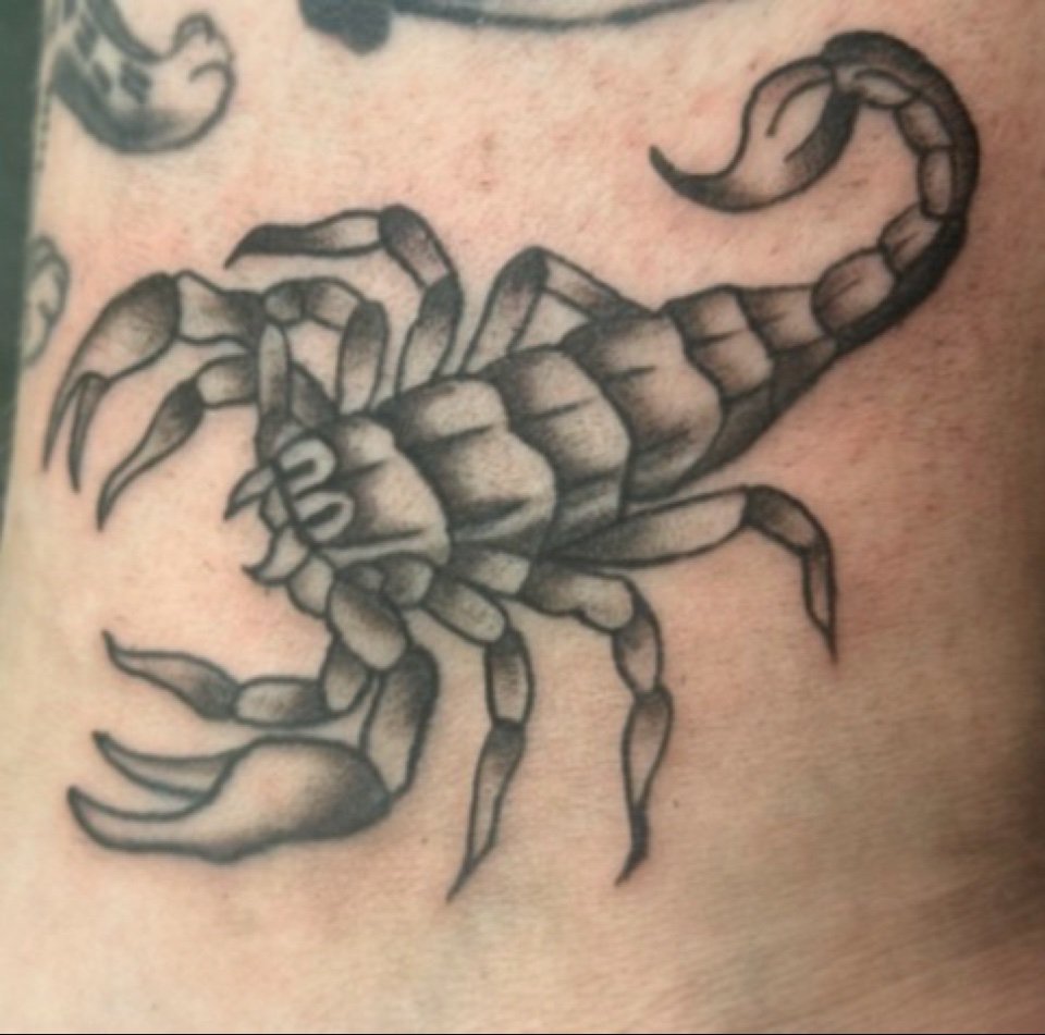 scorpion.jpg