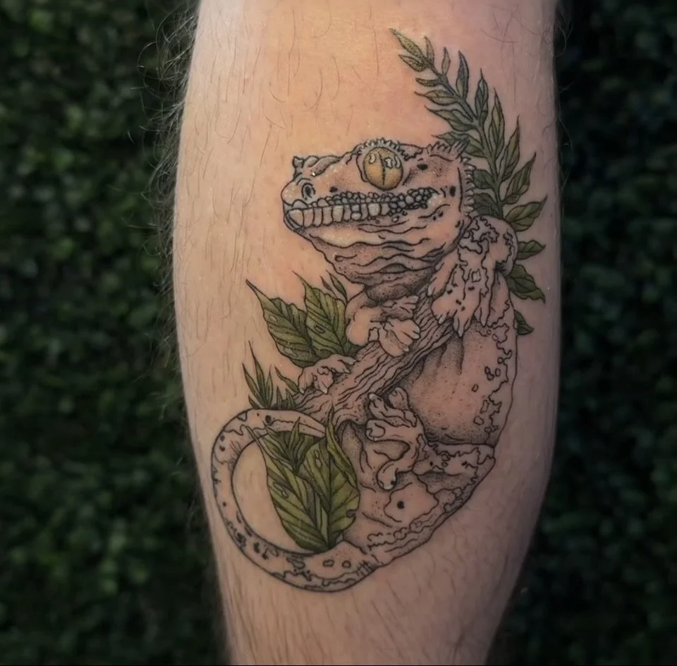 gecko.jpg