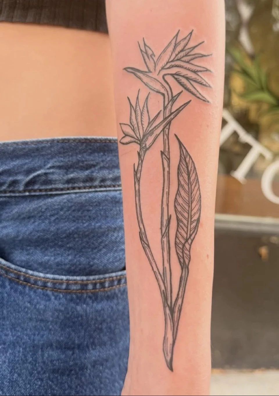 botanical-forearm.jpg