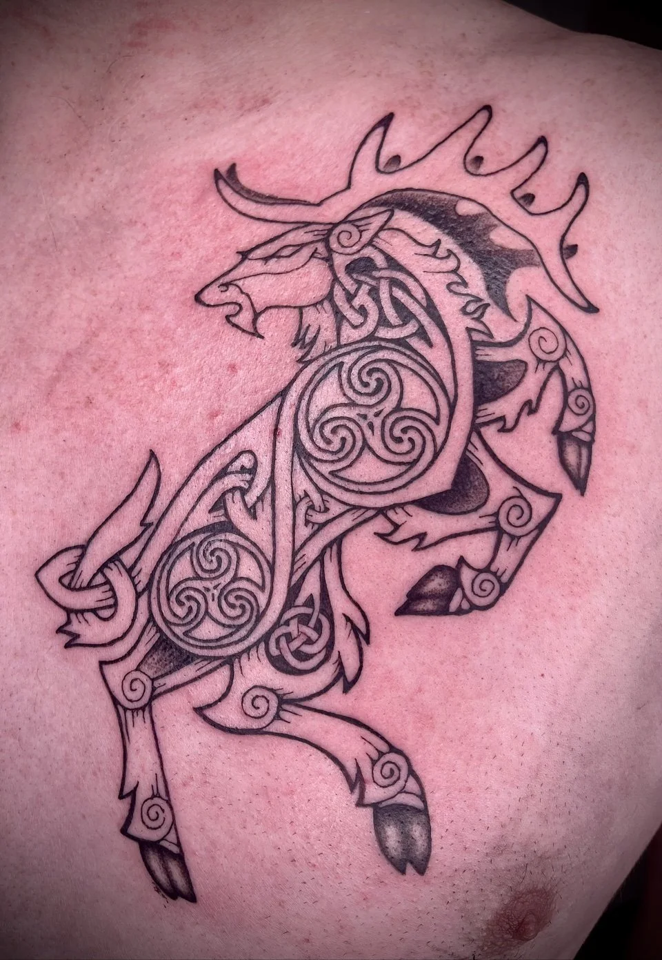 celtic-stag.jpg