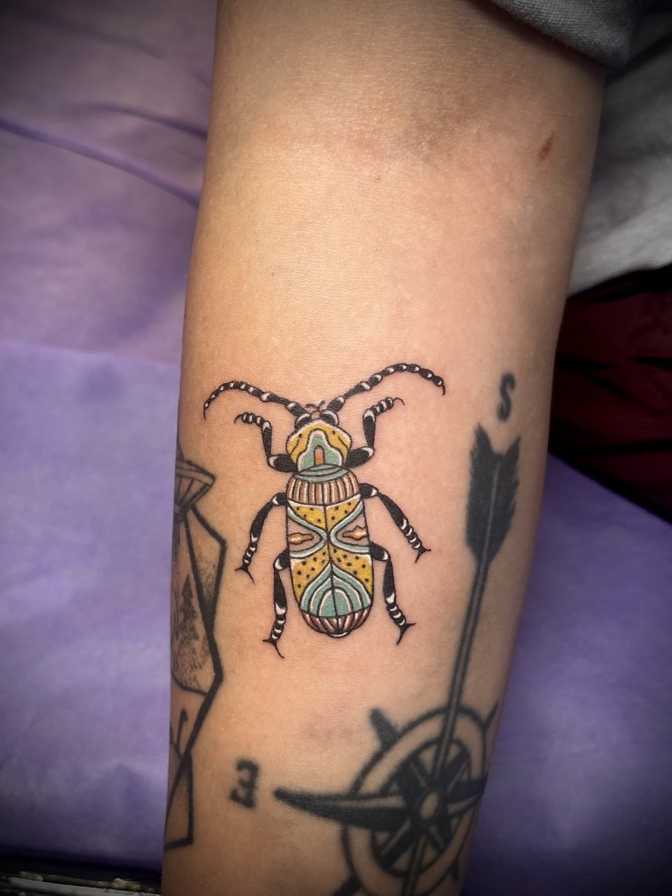 color-beetle.jpg