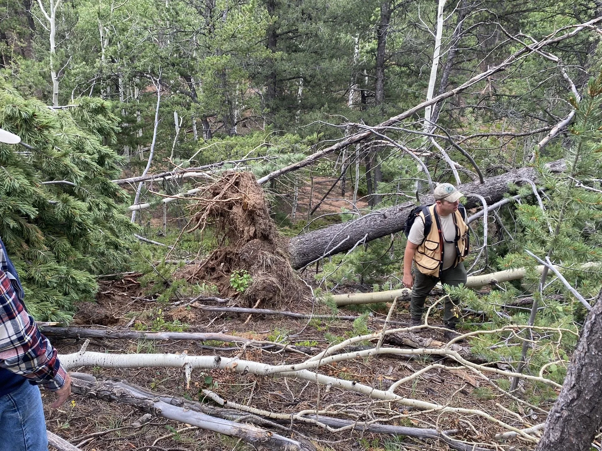 Pikes+Peak+Tornado+Cleanup+2024 (1).jpeg