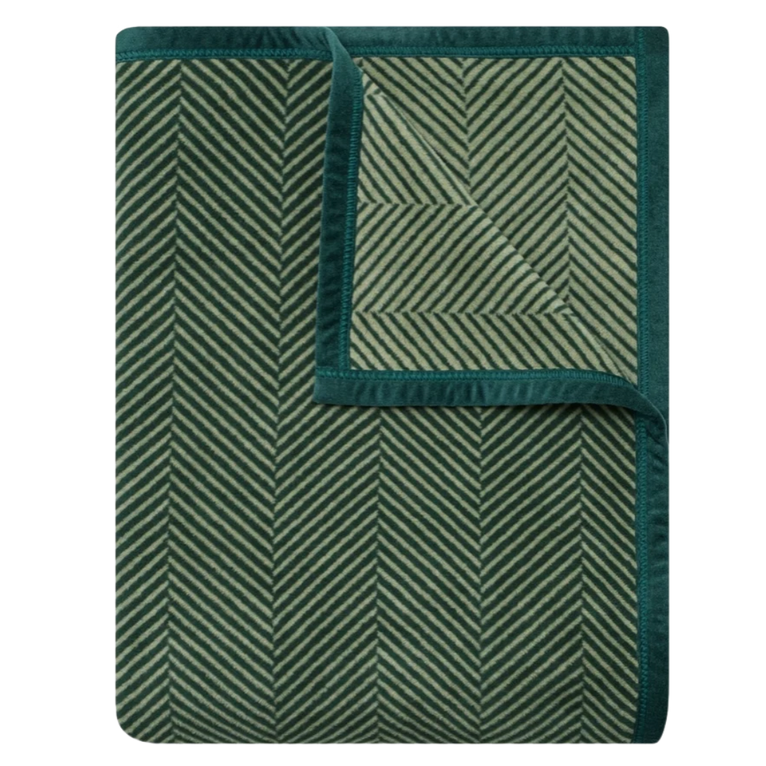 Untitled Design - 2026-10-21T111654.266.png