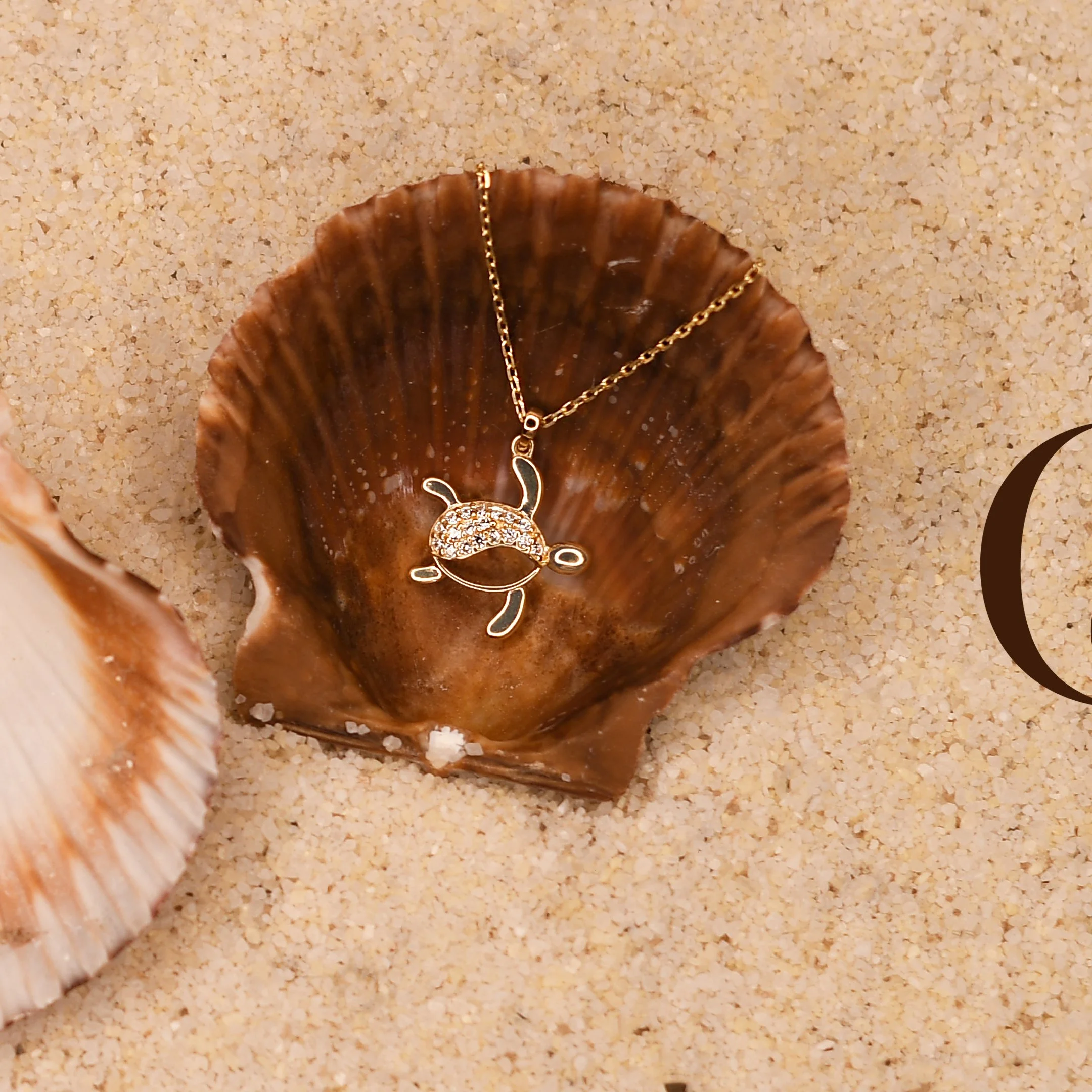 foto de portada 2.jpg