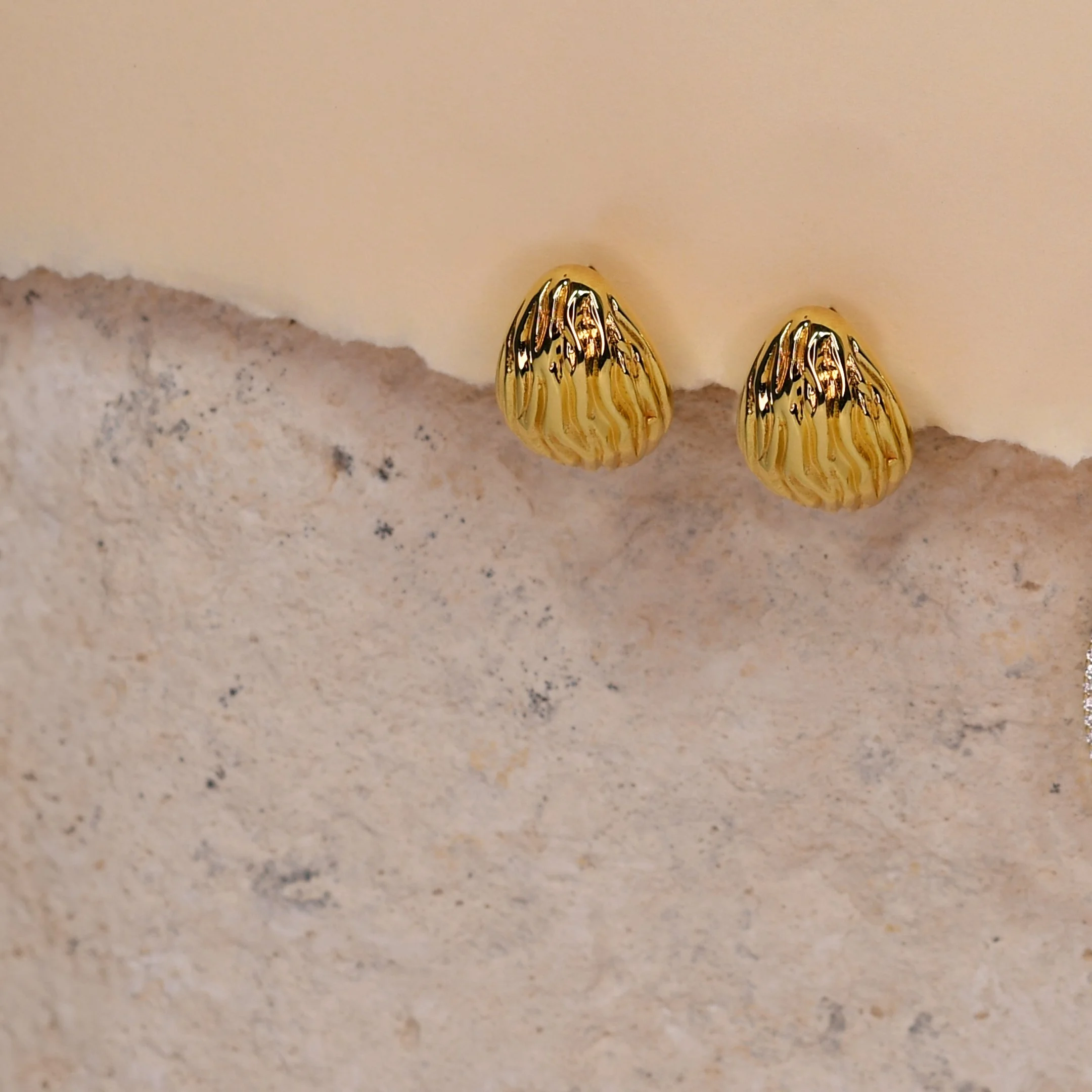 foto de portada 3.jpg