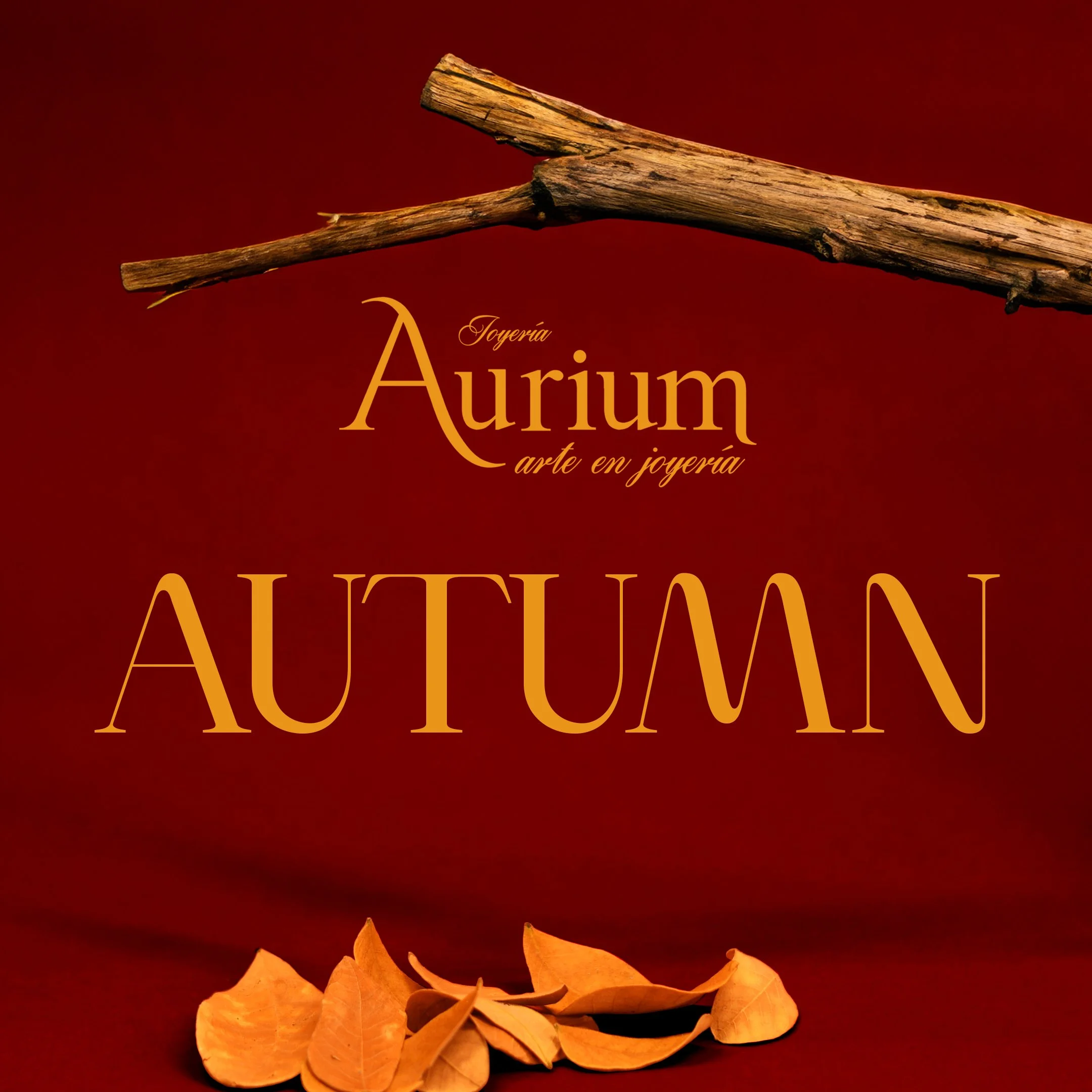 FOTO DE PERFIL catalogo.jpg