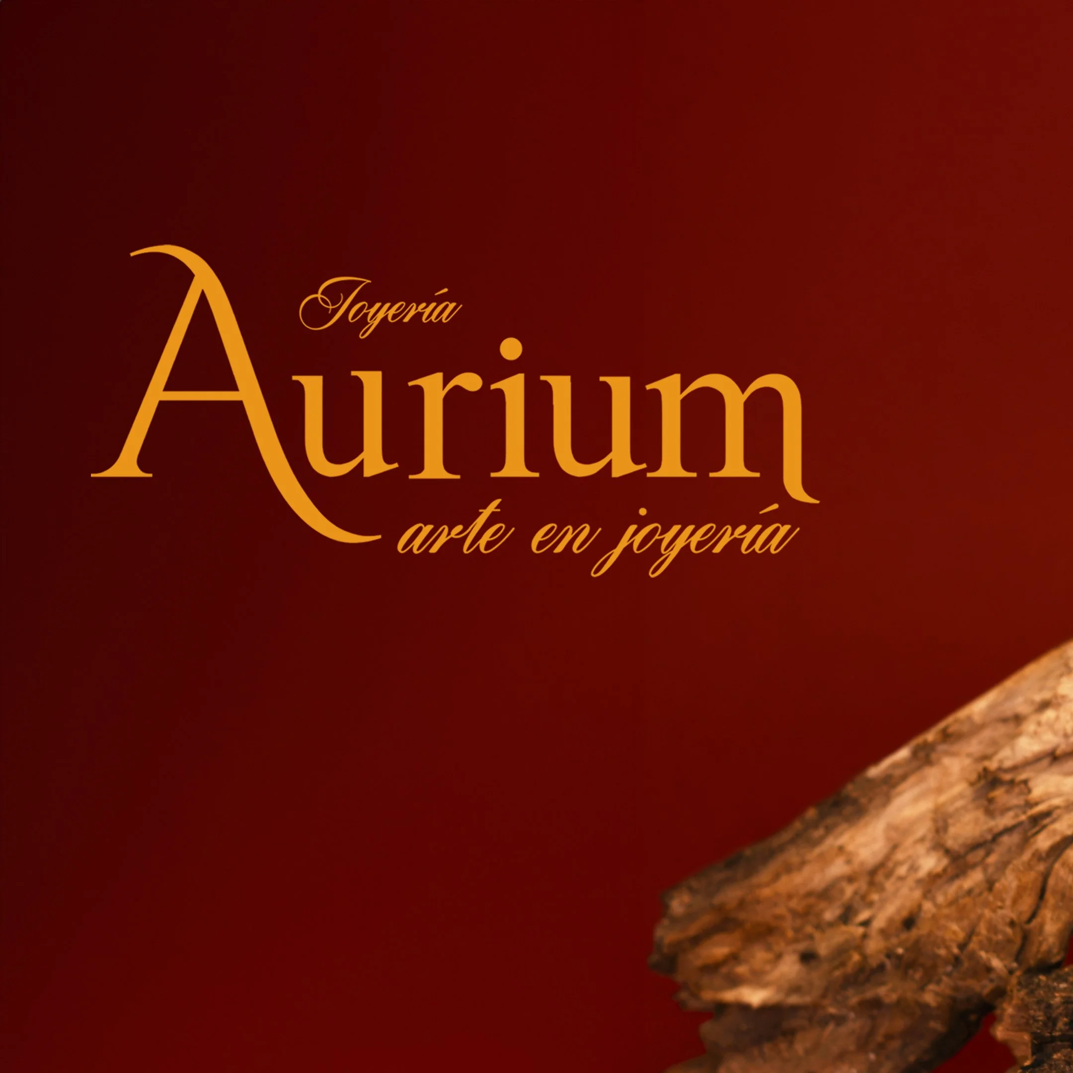 FOTO DE PORTADA 3.jpg