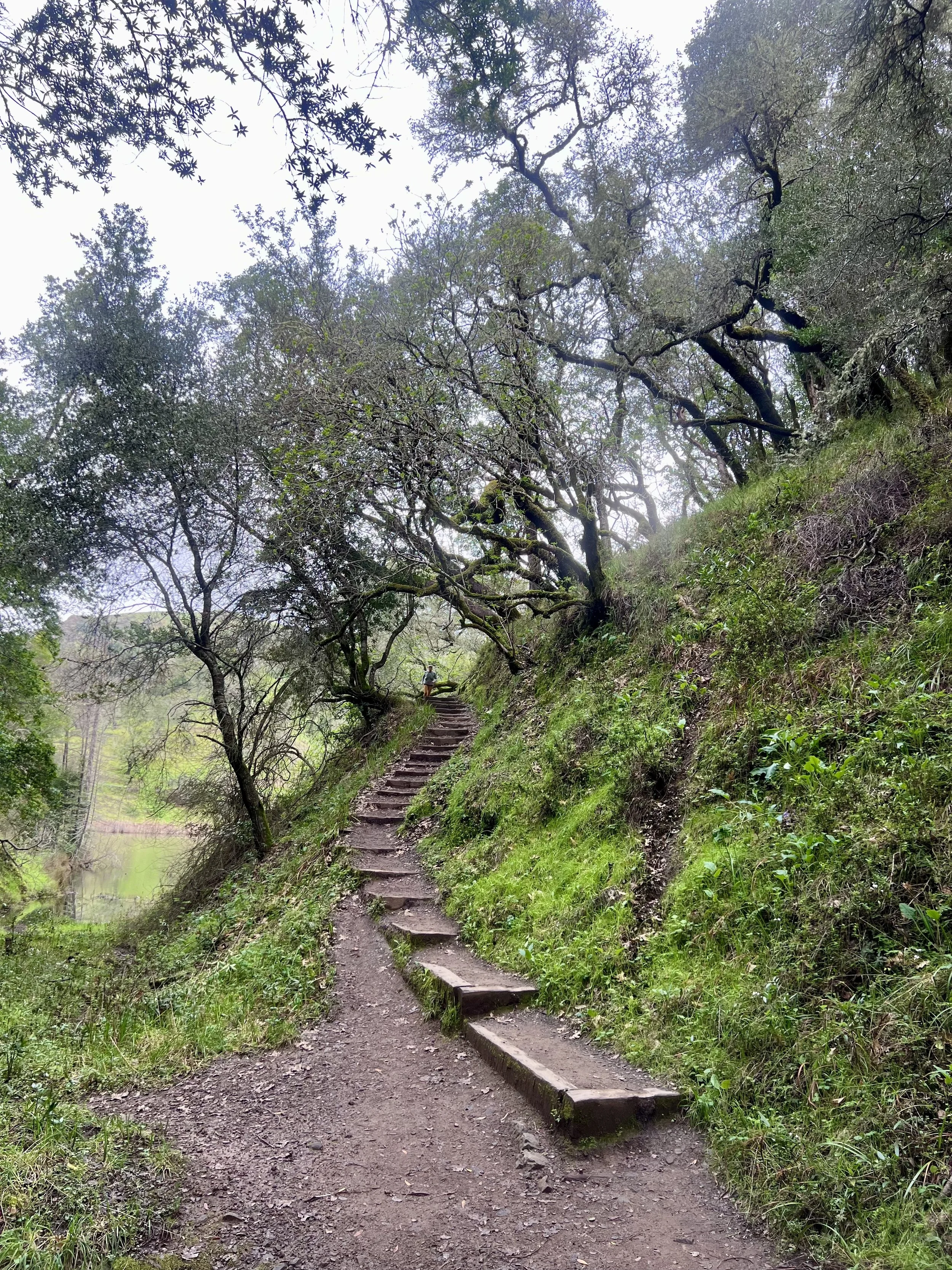 Walk and talk therapy trails East Bay California endurance athletes
