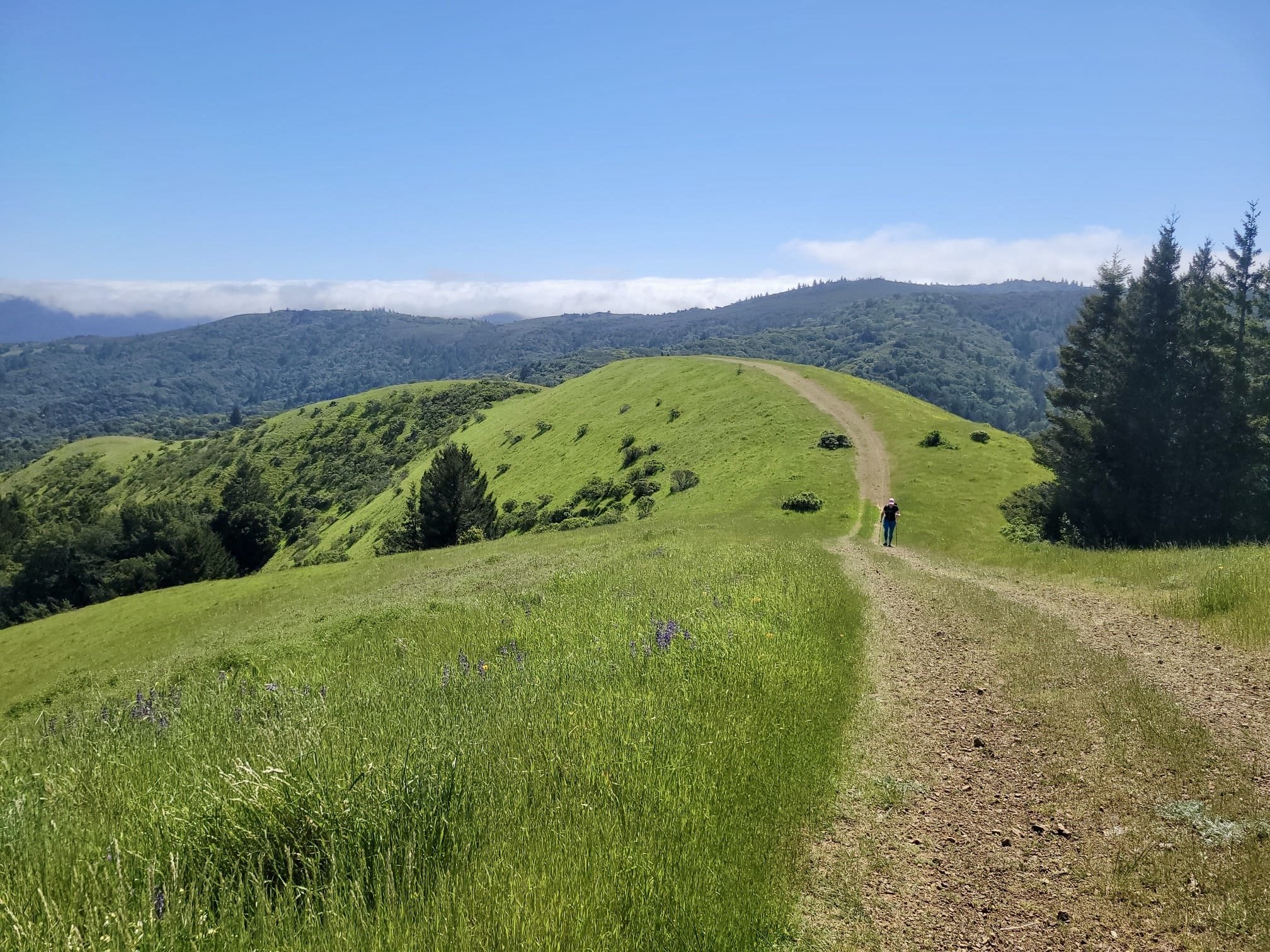 Trail running therapy East Bay California hills ultrarunner therapist