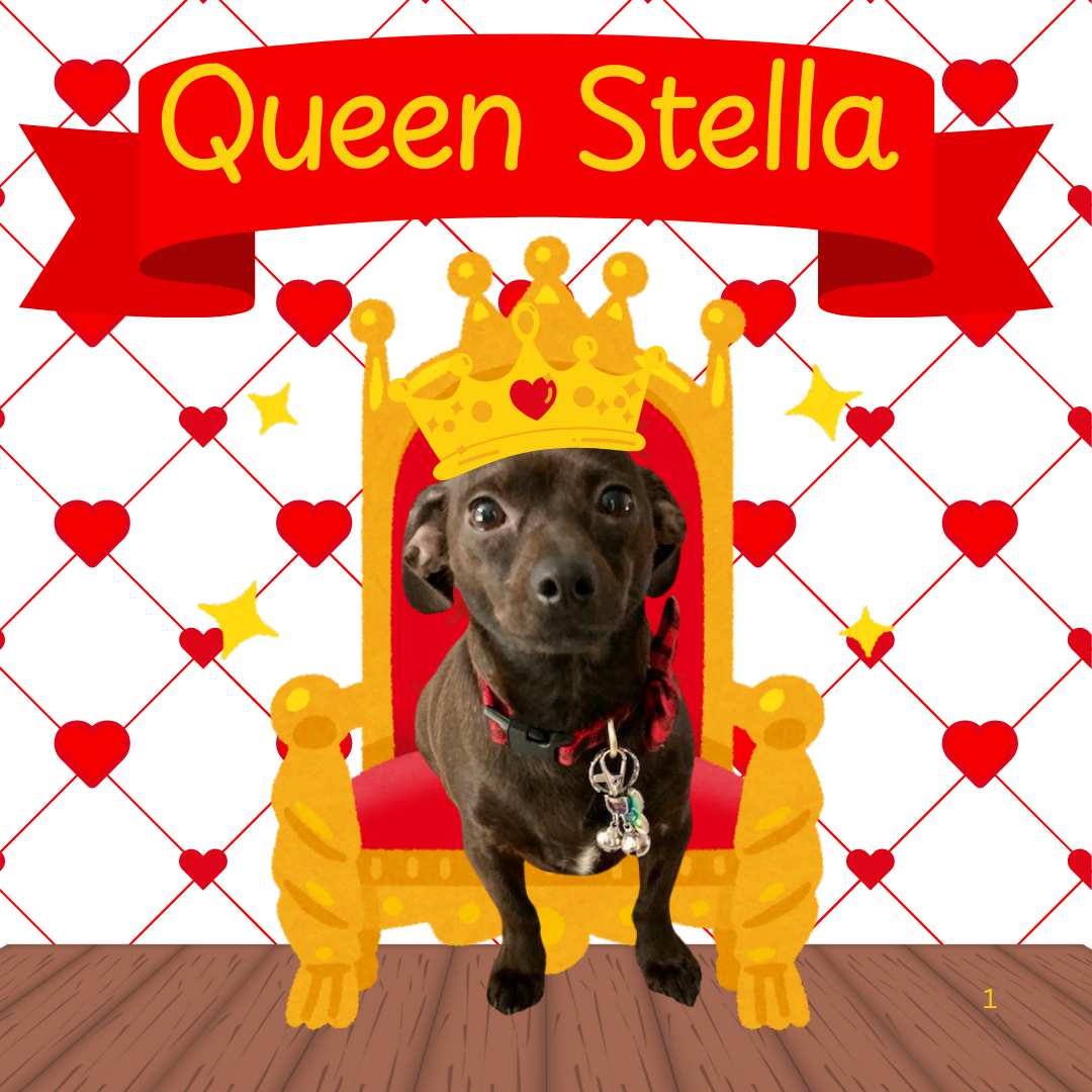 Stella.png