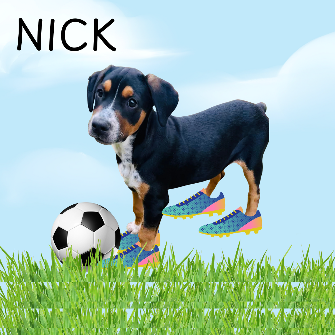 Nicholas (1).png