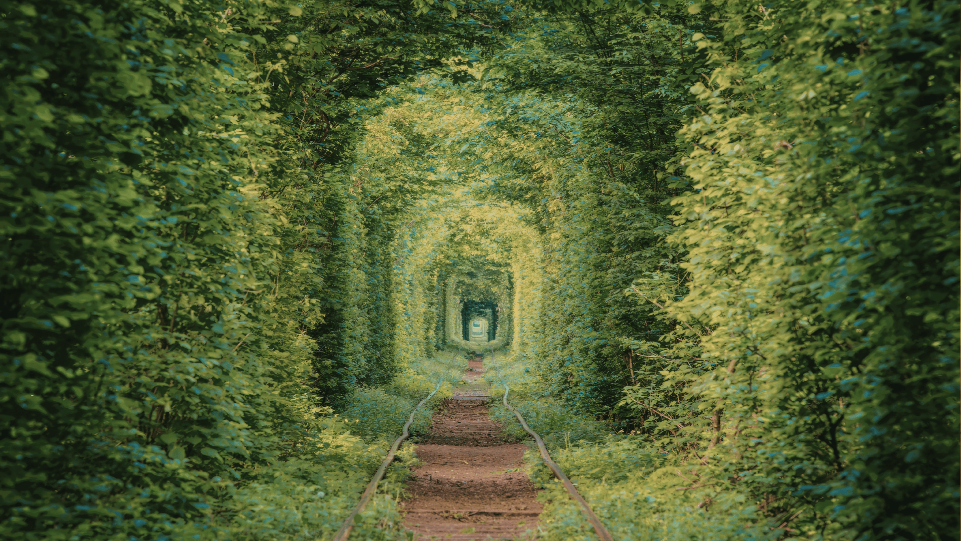 self growth hypnotherapy