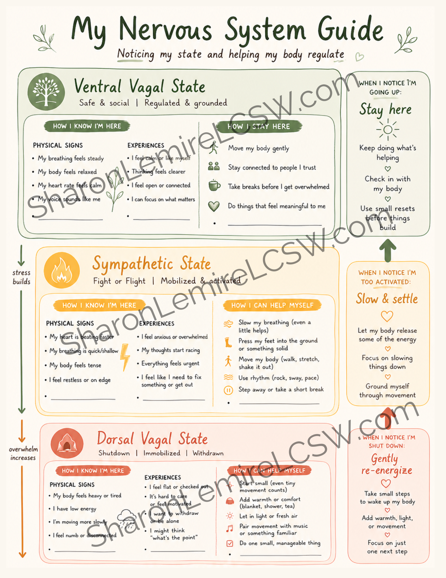 Preview of the Nervous System Guide worksheet showing visual explanations of nervous system states, including ventral vagal, sympathetic, and dorsal vagal responses.