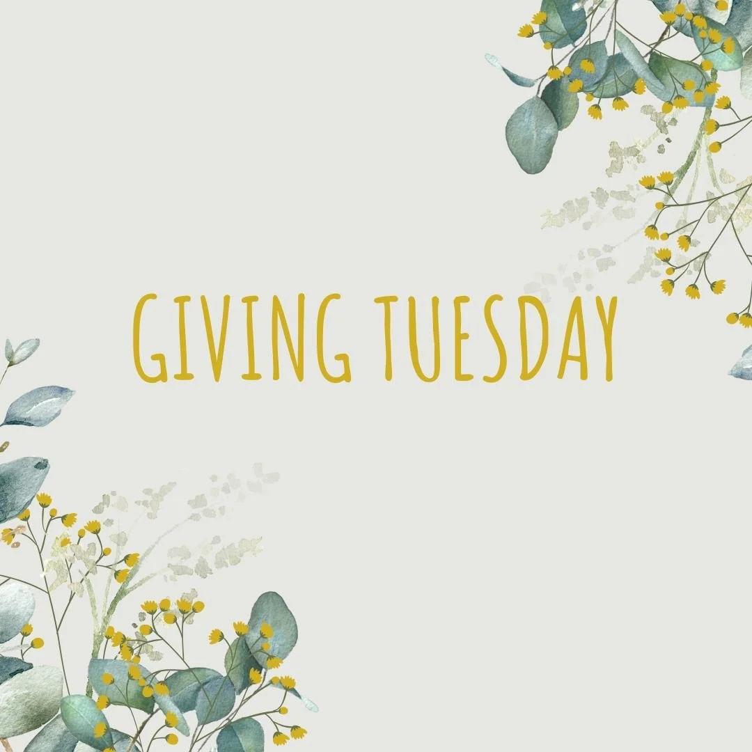 🌟 It's Giving Tuesday! 🌟
Today, we request your support for the Healthy Communities Coalition of Lyon and Storey. Your donations are crucial for maintaining our essential programs, including food pantries in Dayton, Silver Springs, and Yerington,