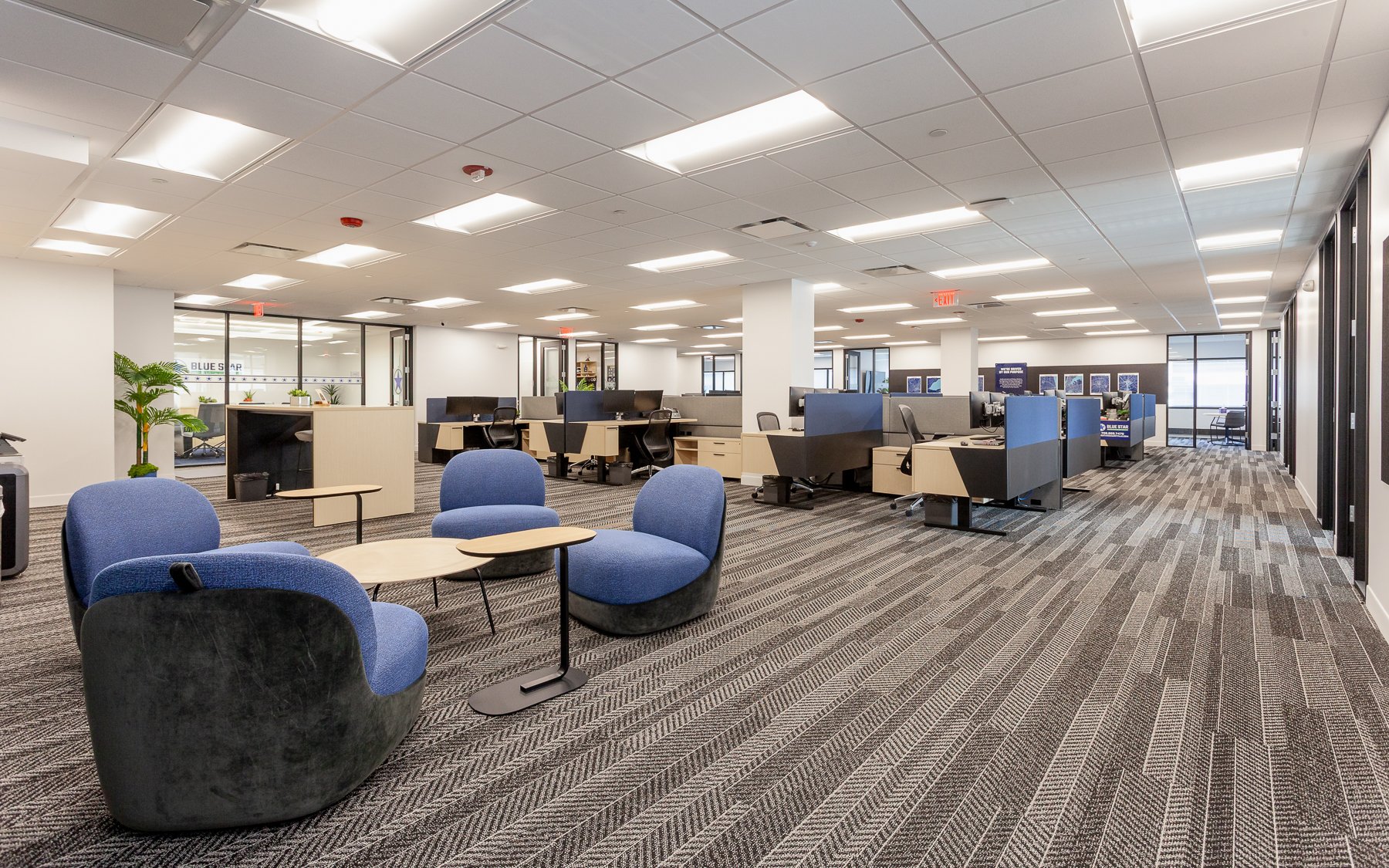 Blue Star Securities Office- 4.jpg