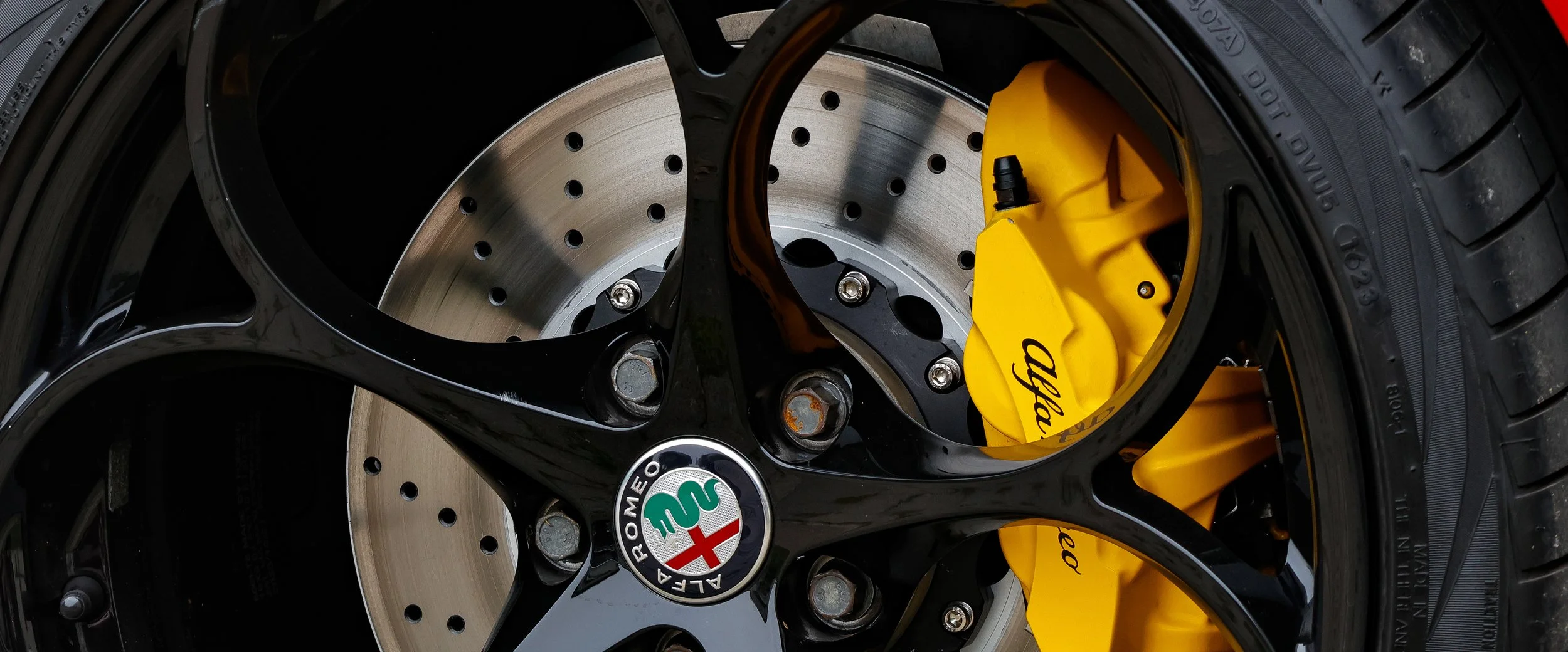 ALFA CLUB IL B IALBERO2台 Performance — Club Alfa