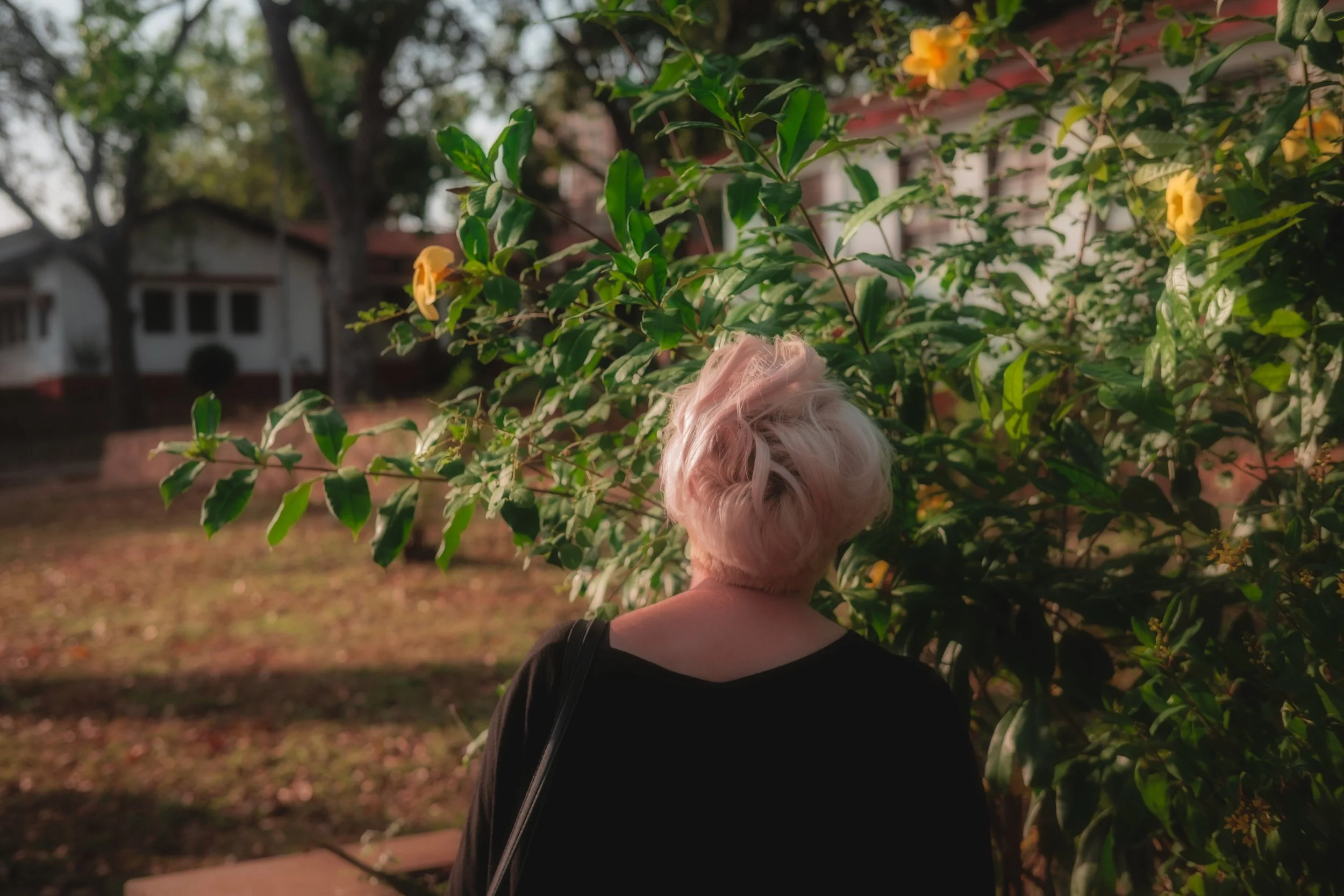 Person with short blonde hair facing a bush with yellow flowers.