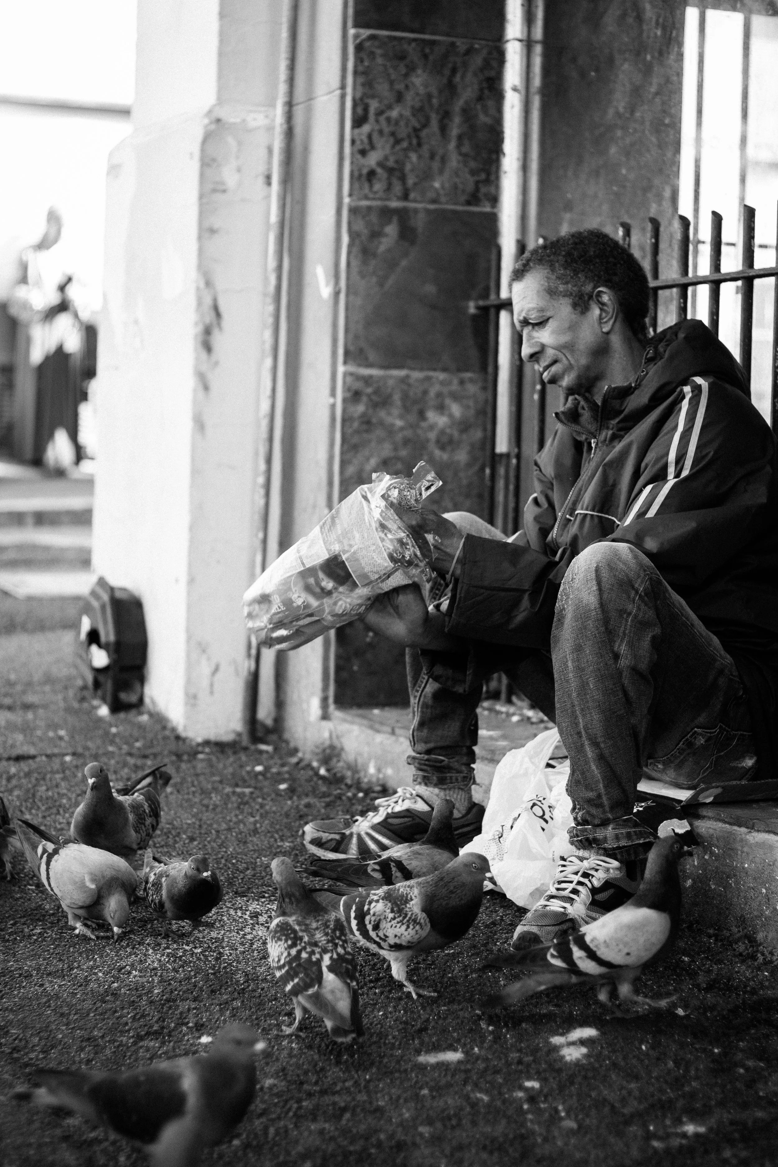 Man sitting on a step feeding pigeons with bread from a plastic bag, black and white photo.
