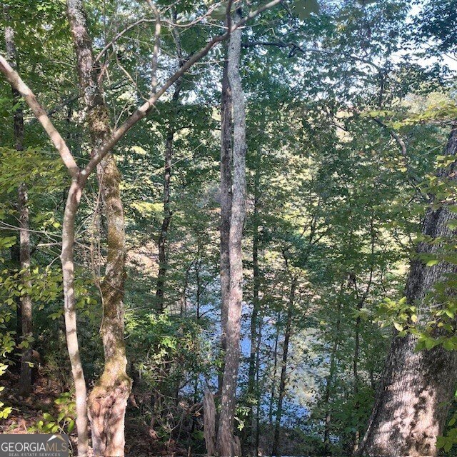 HD_1729109099954_woods4.JPEG