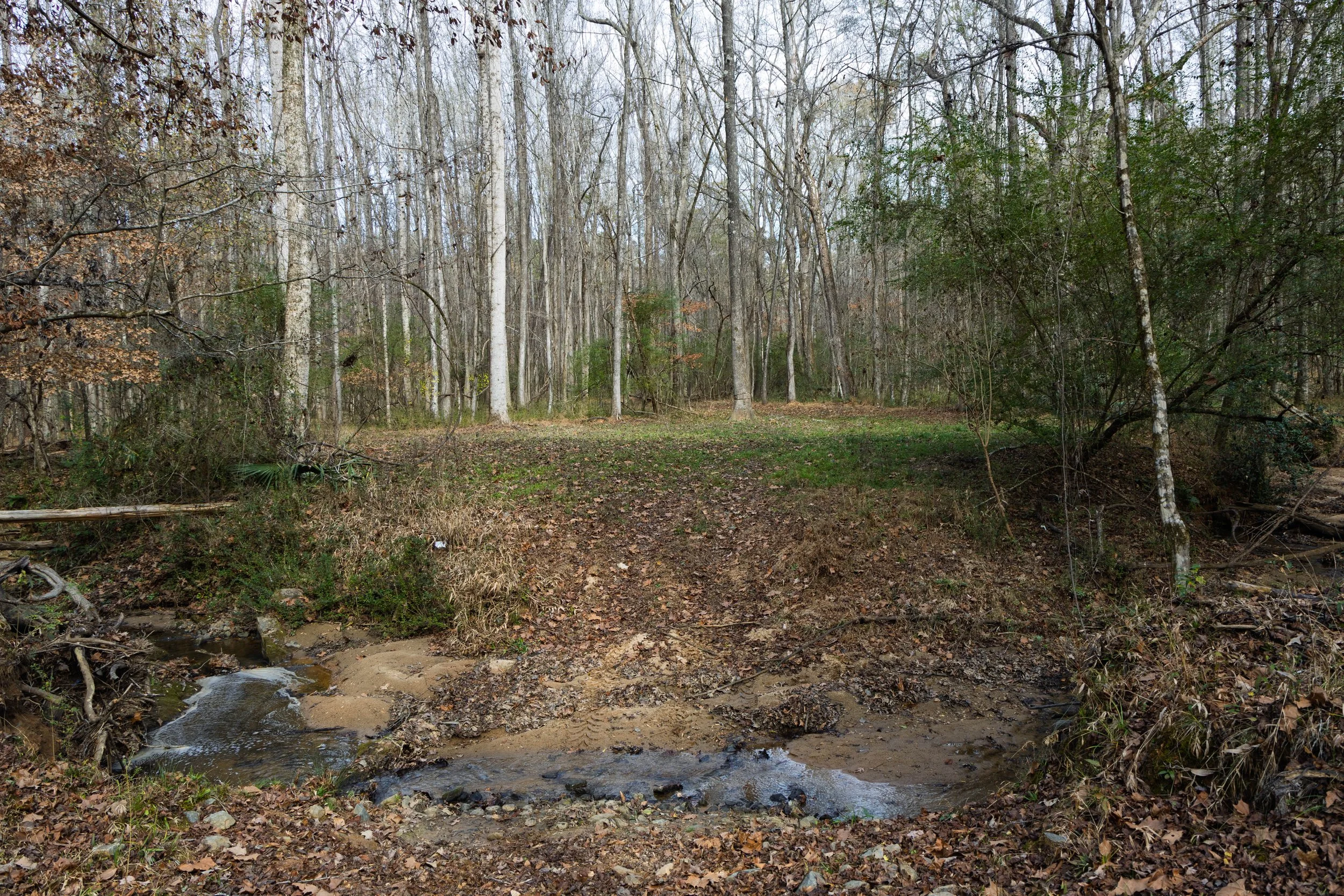 DEW_3663.jpg