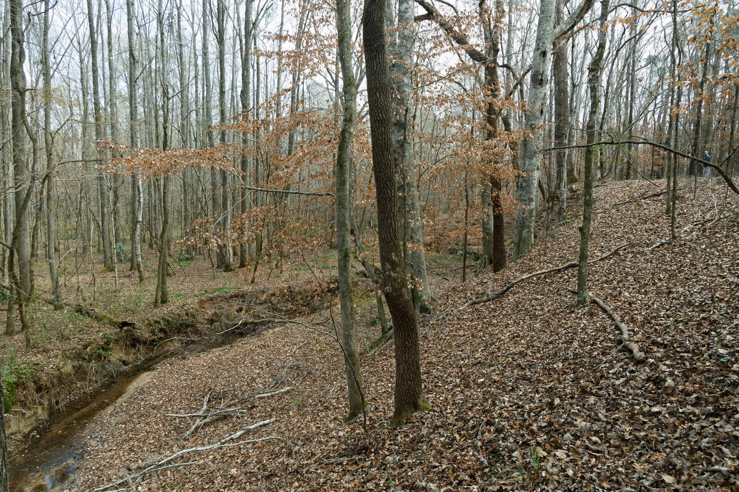 DEW_3674.jpg