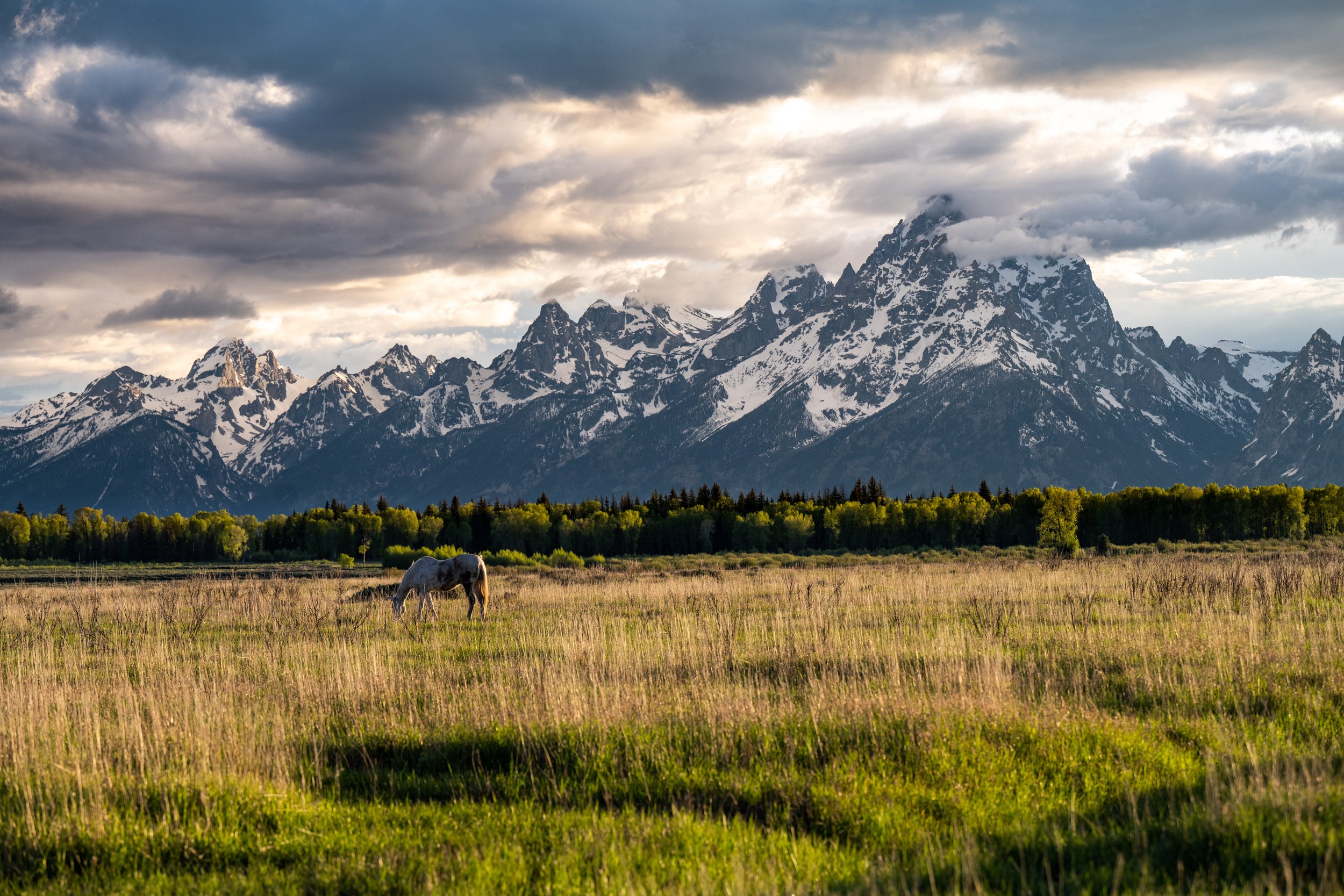 Tetons2023-2705.jpeg