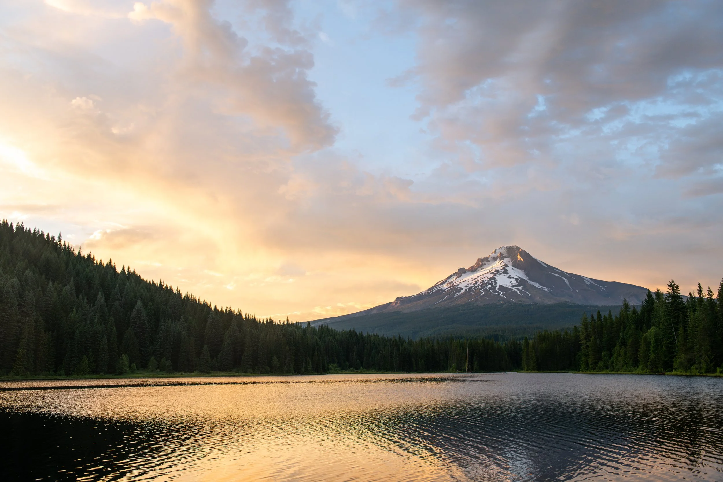 TaylorFrancesco-DSC_4558.jpg