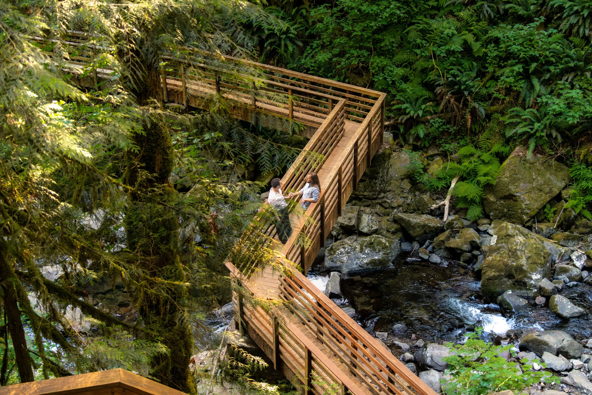 A wooden walkway in a lush green forest over a rocky stream, with two people talking at the side of the walkway.