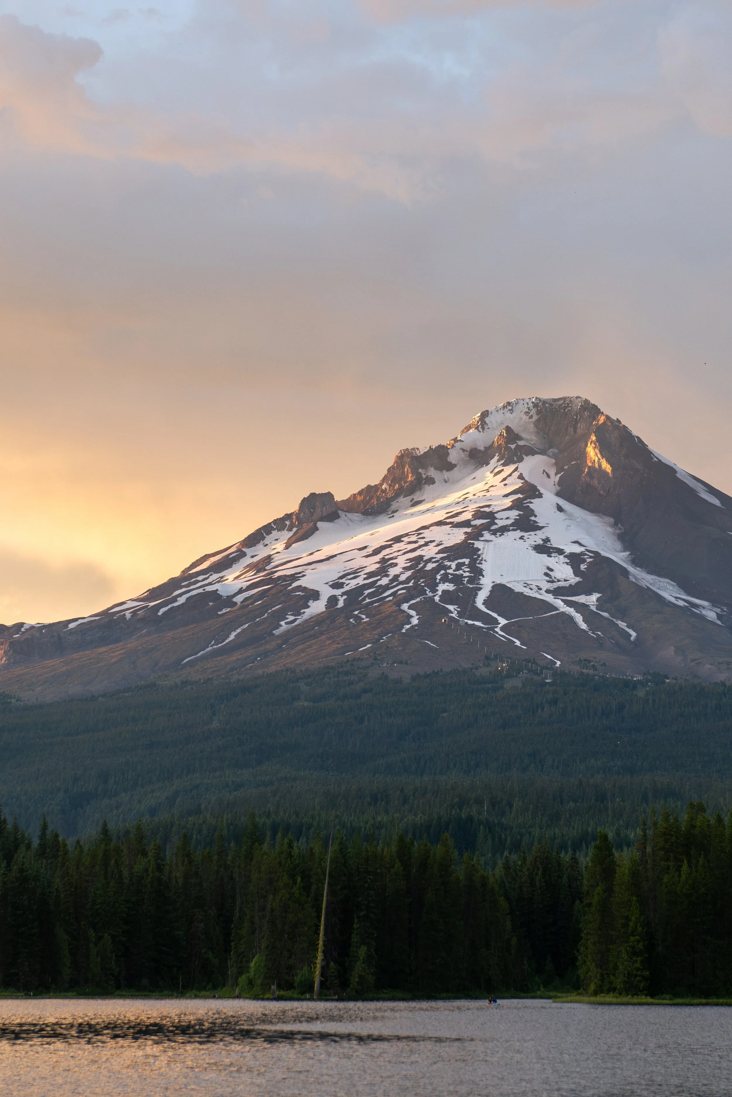 TaylorFrancesco-DSC_4557.jpg