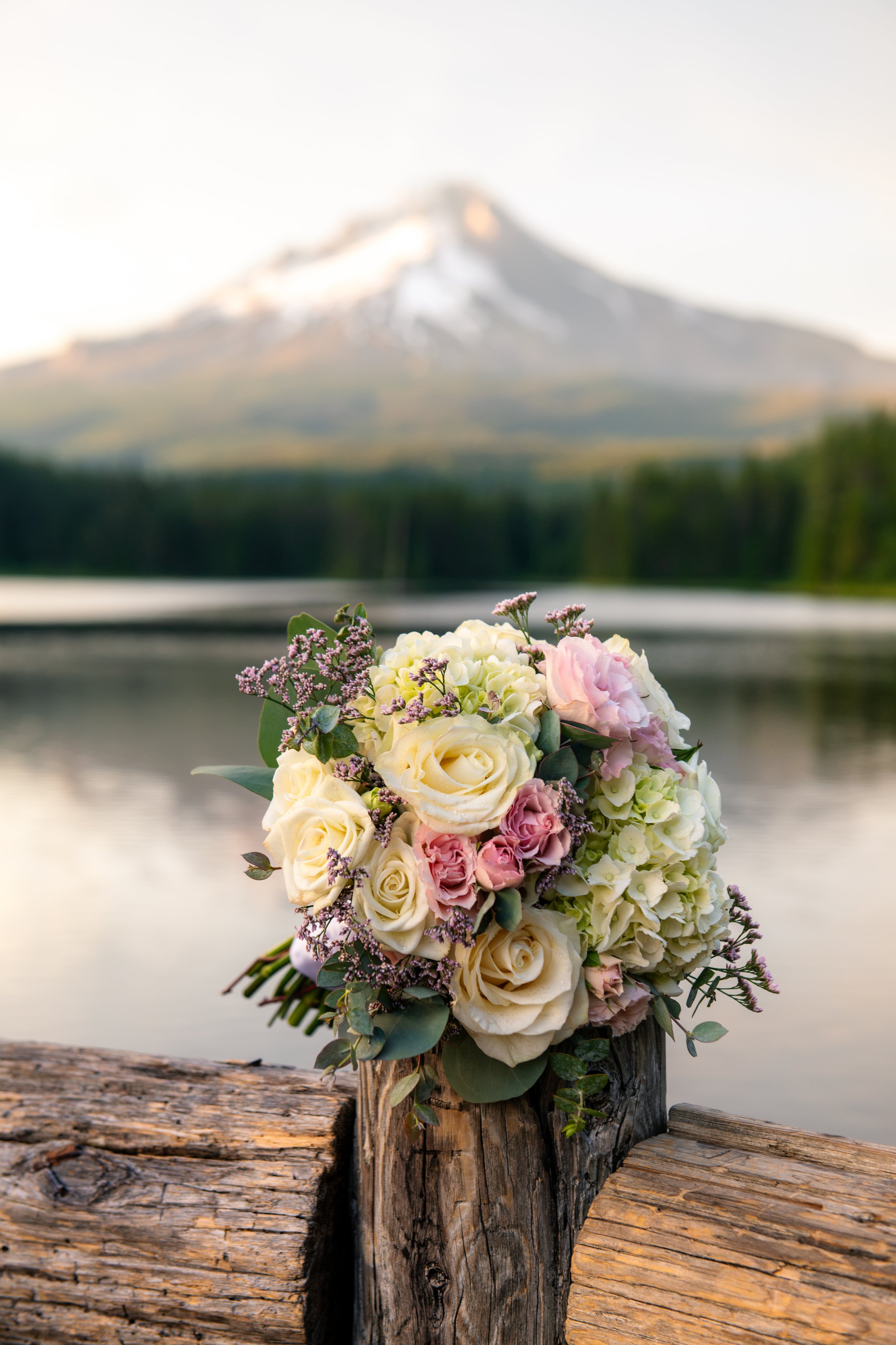 TaylorFrancesco-DSC_4439.jpg