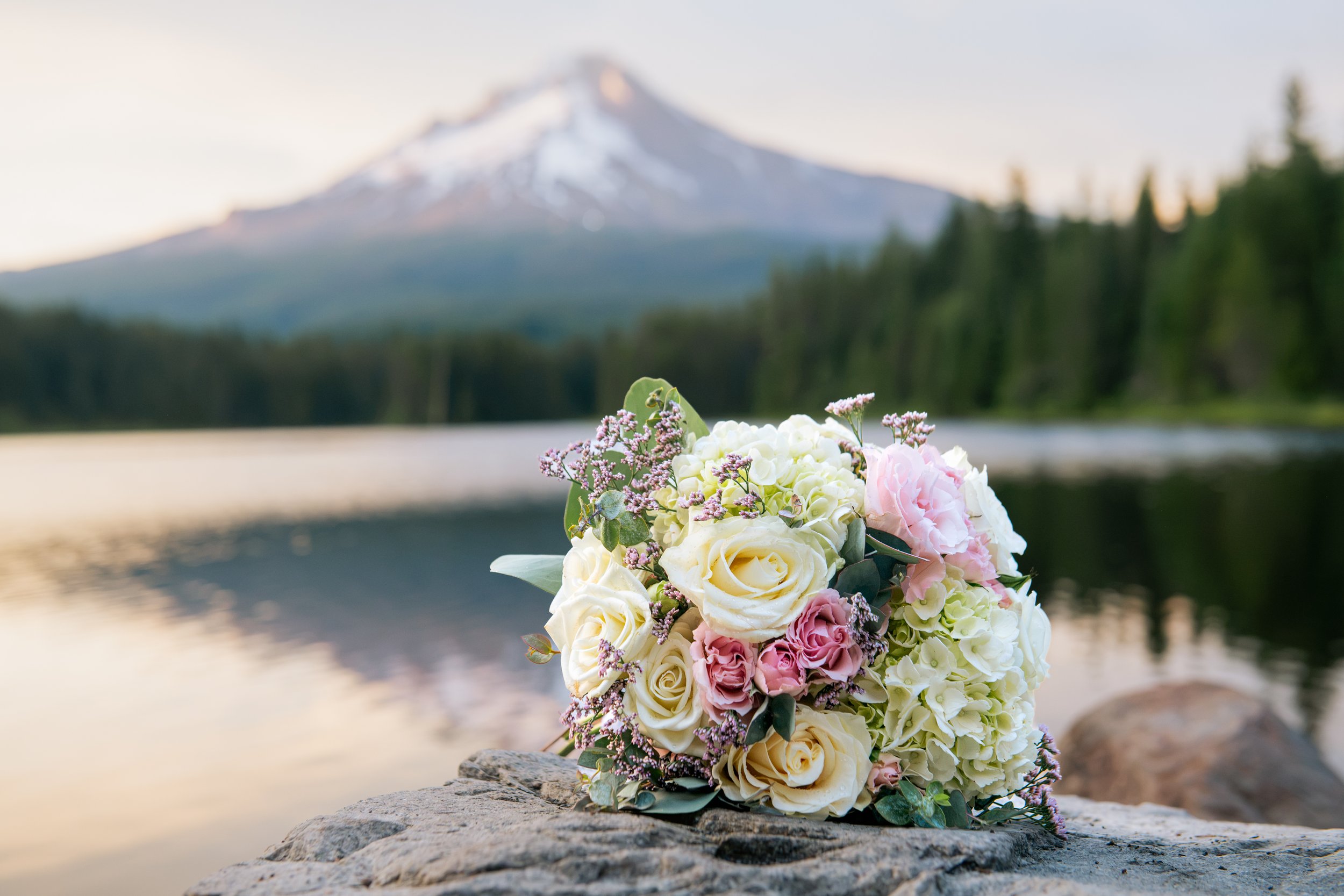TaylorFrancesco-DSC_4551.jpg