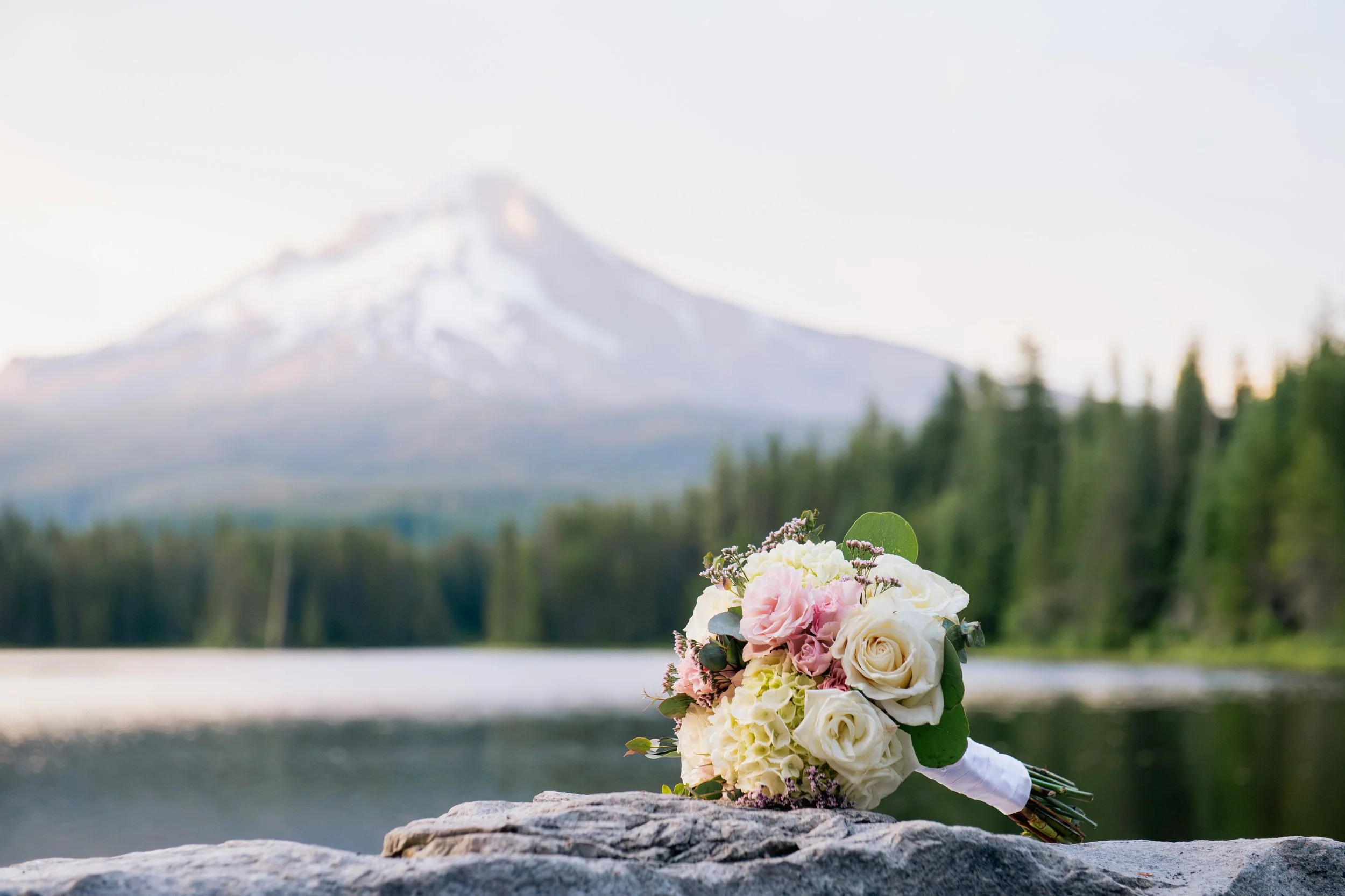 TaylorFrancesco-DSC_4545.jpg