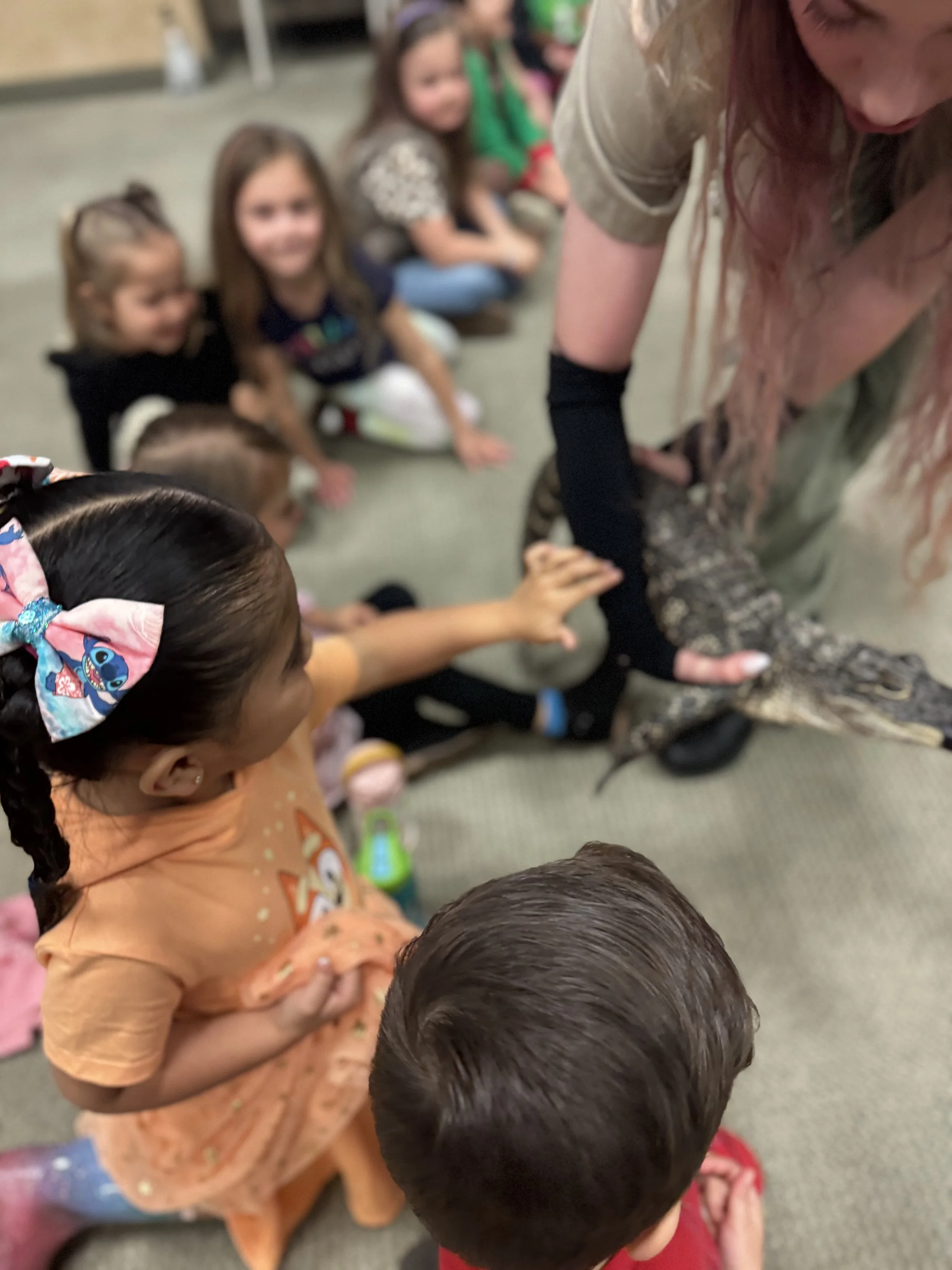 Reptile zoo.jpeg