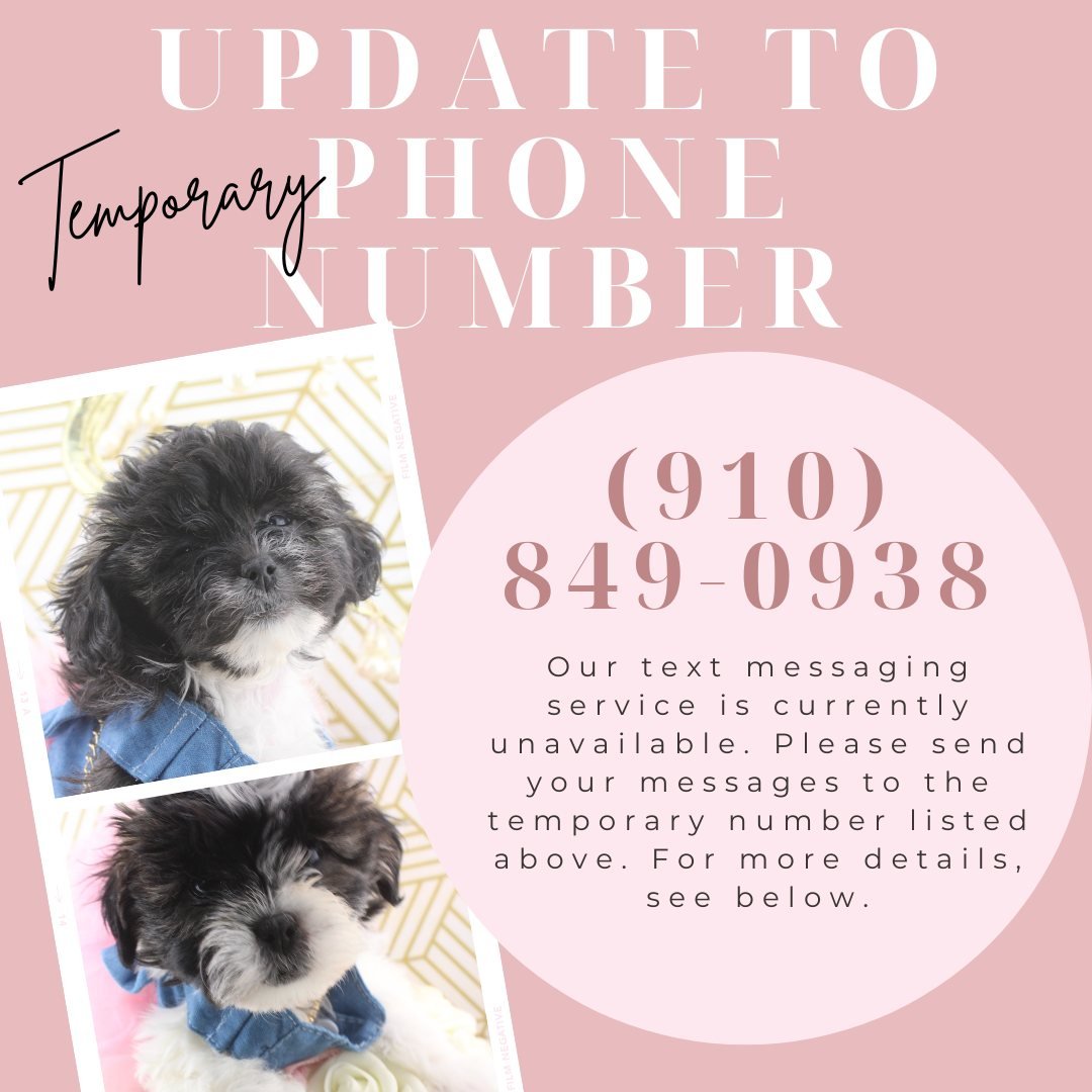 Our text messaging phone number is currently down. While we can still receive your messages, we are unable to send replies. In the meantime, we will be using a temporary phone number for outgoing messages. Once our original number is fixed, we will n