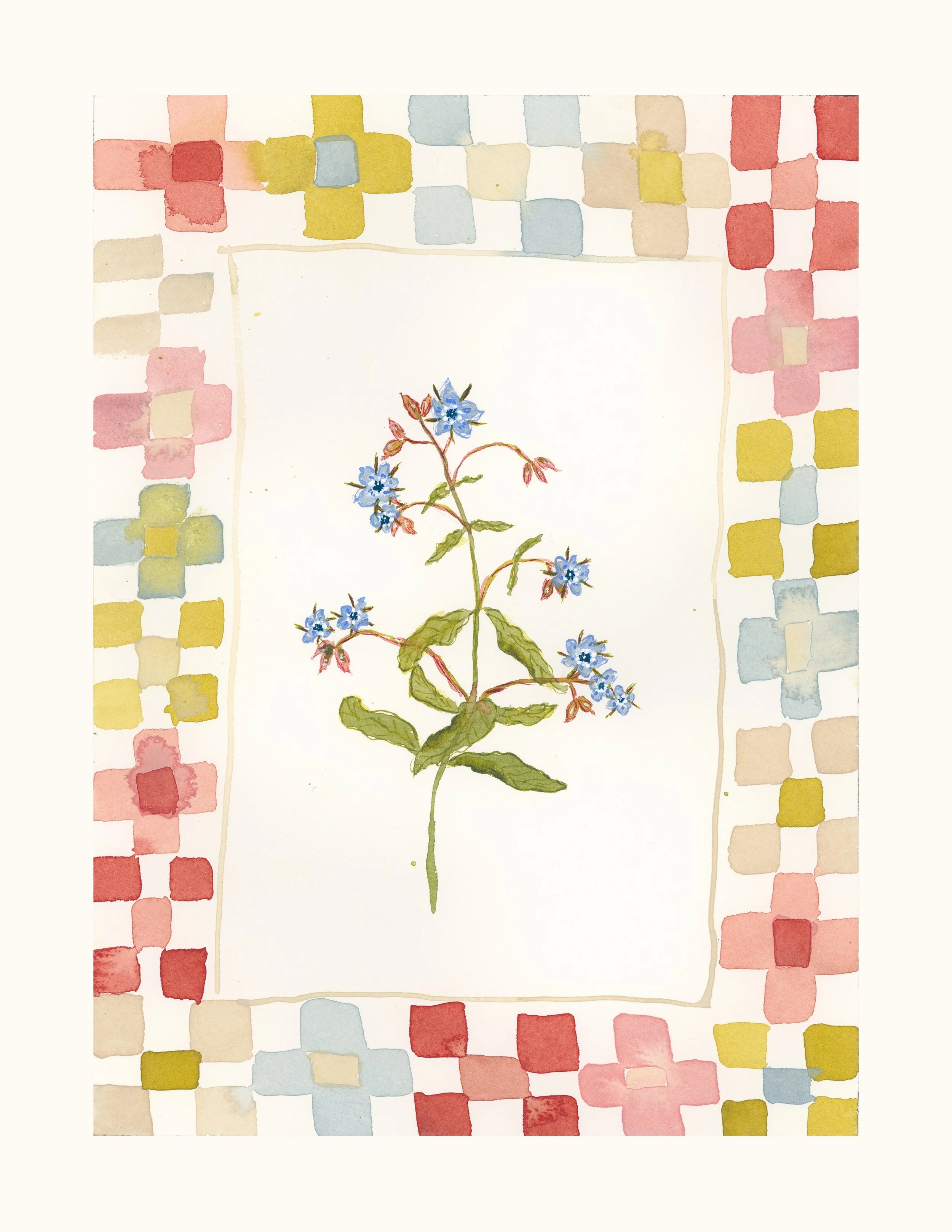 Borage Quilt- Fine Art Print