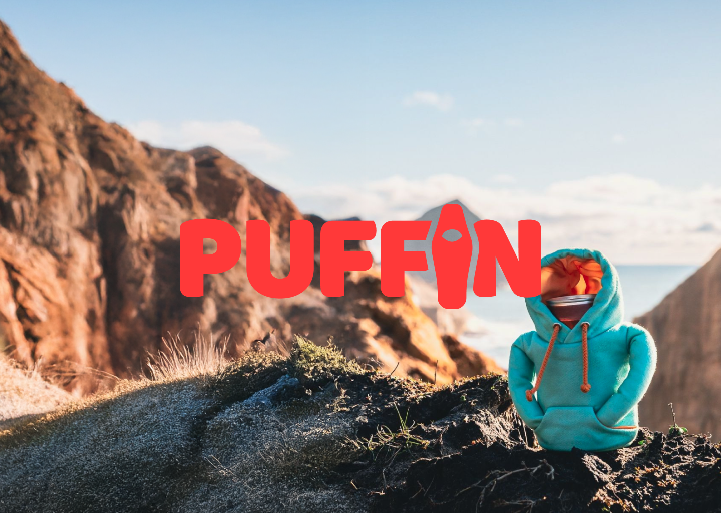 Brand Identity: Puffin