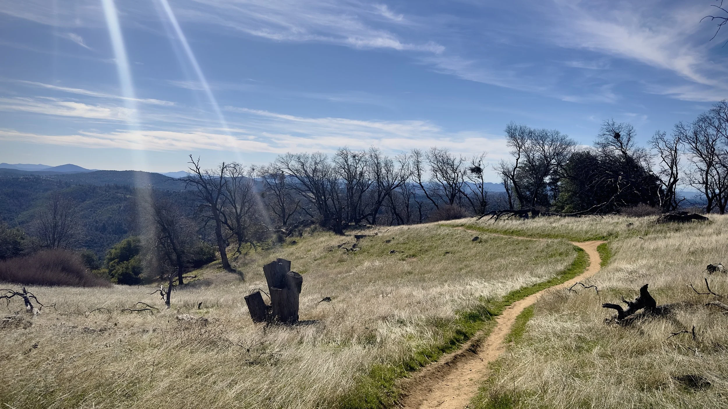 The Quiet Ways We Grow